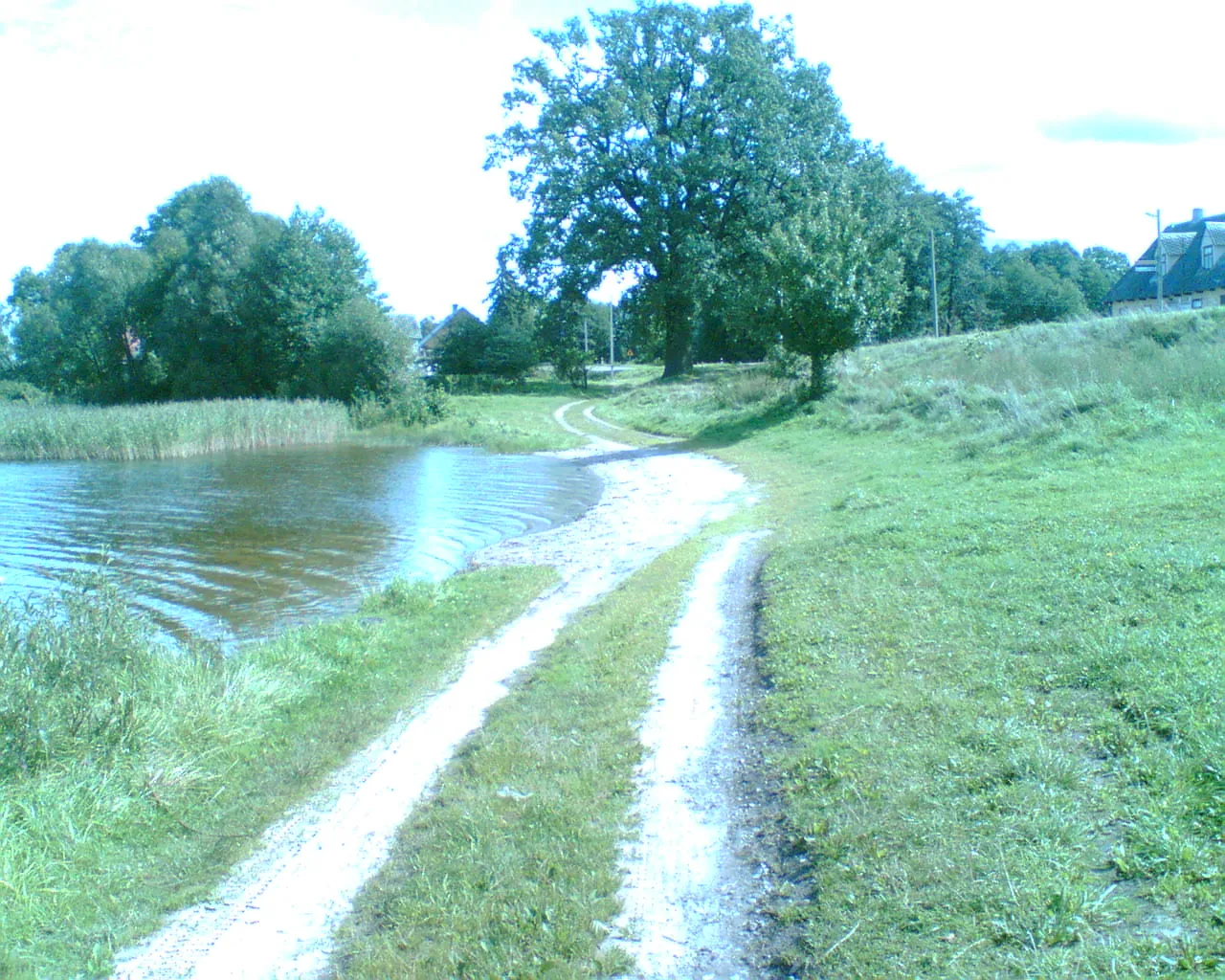 Photo showing: Nad brzegiem Jeziora Hołny