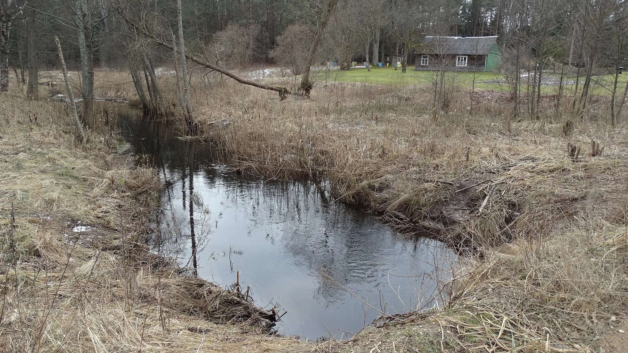 Photo showing: Jūrė River in Naudžiai, Kazlų Rūda municipality, Lithuania