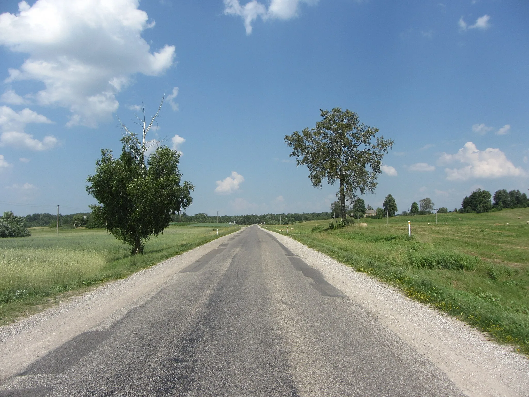 Photo showing: Lazdijų sen., Lithuania