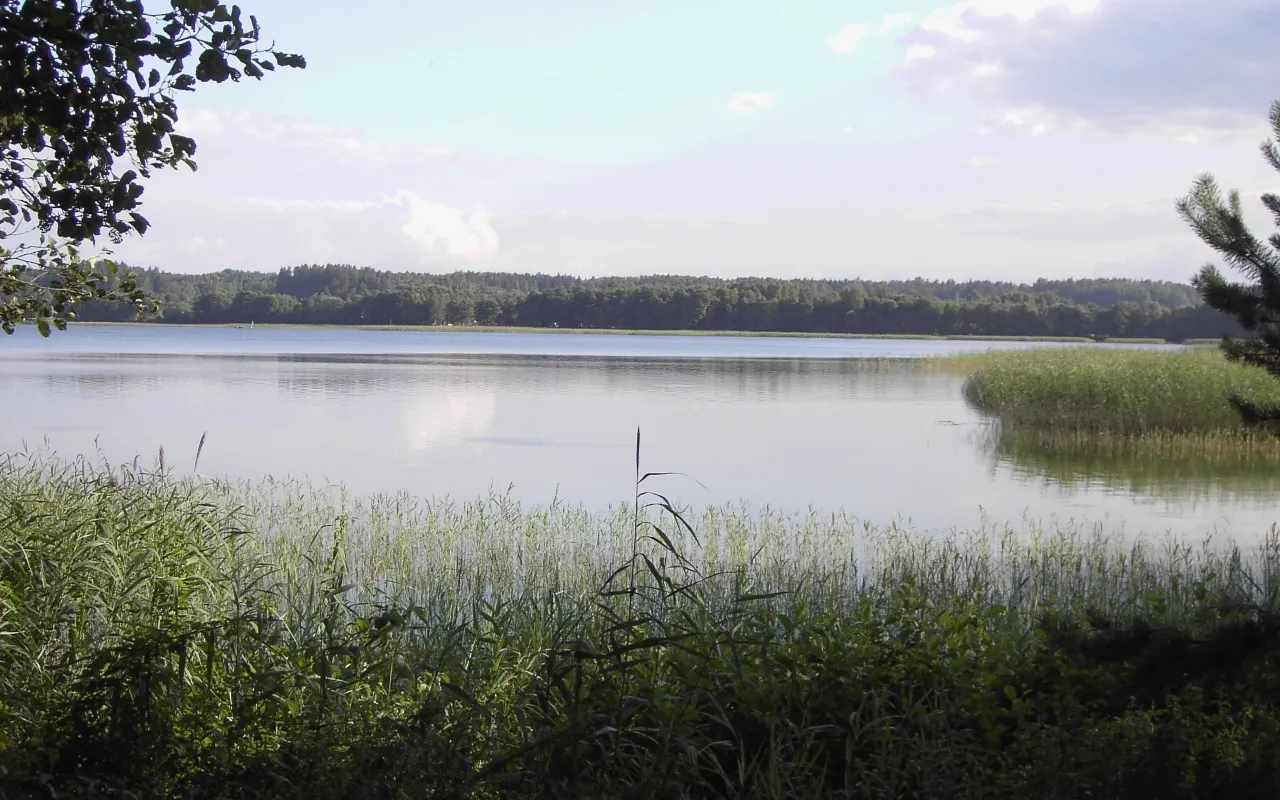 Photo showing: Lake Luodis, Zarasai district, Lithuania