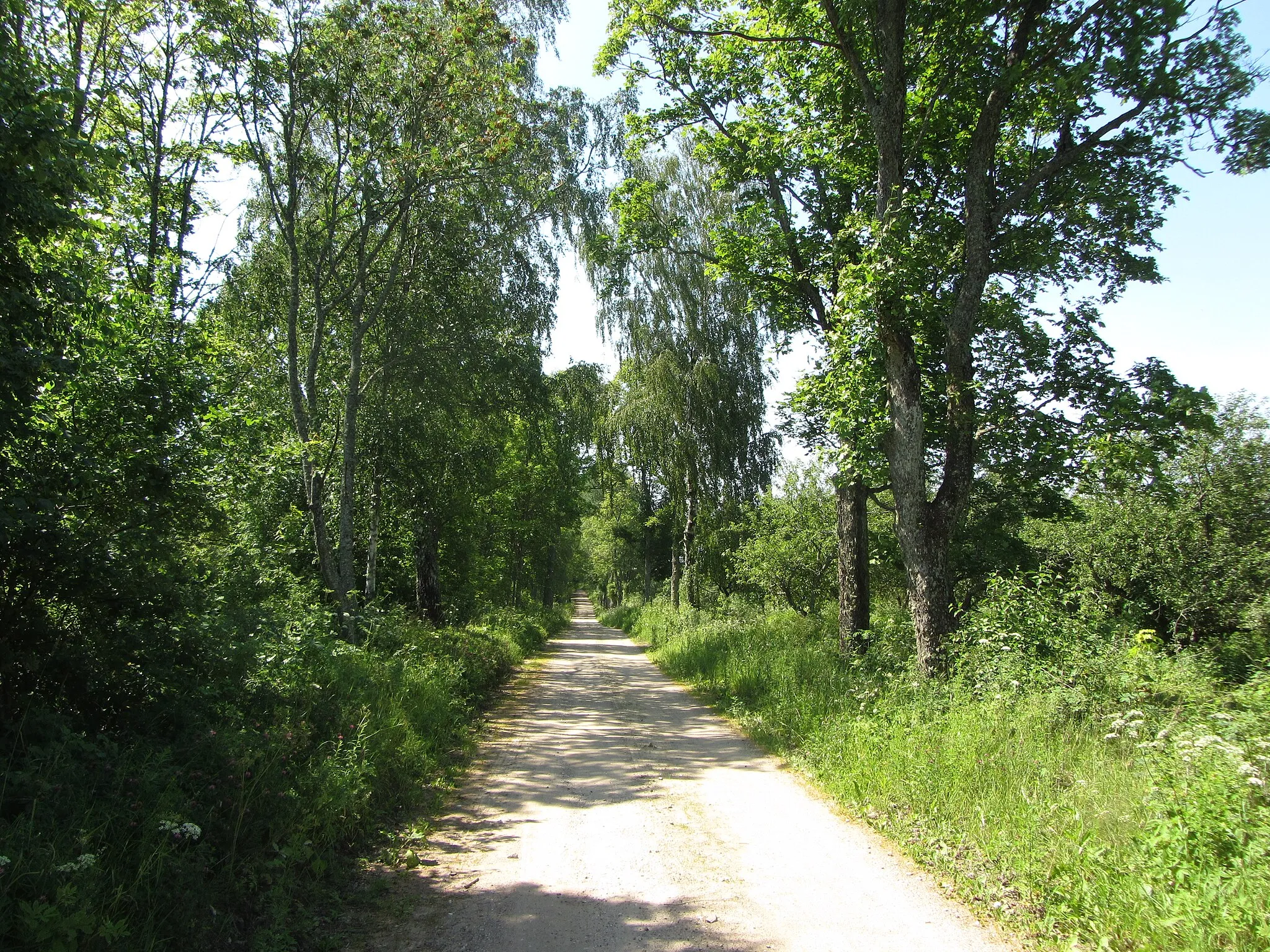 Photo showing: Dūkšto sen., Lithuania