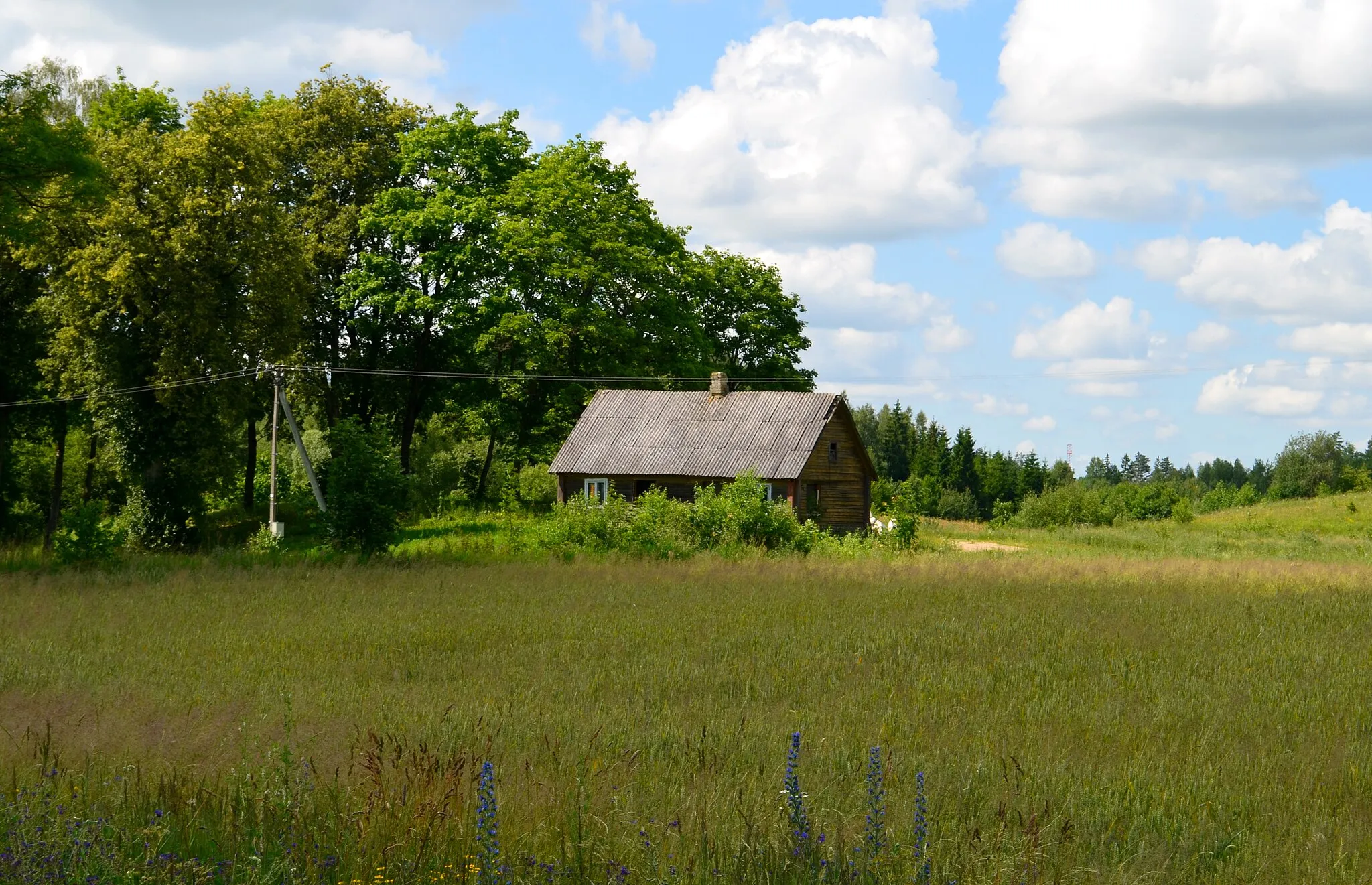 Photo showing: Galinių k., Lazdijų raj.