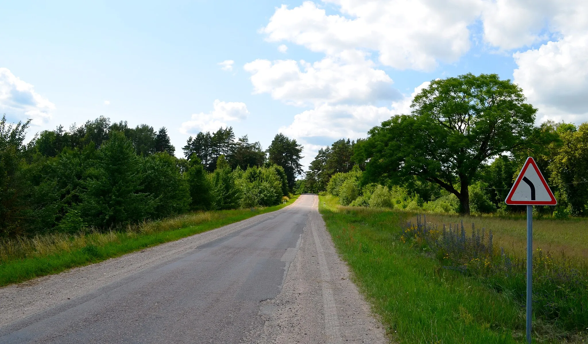 Photo showing: Kelias per Galinių k., Lazdijų raj.