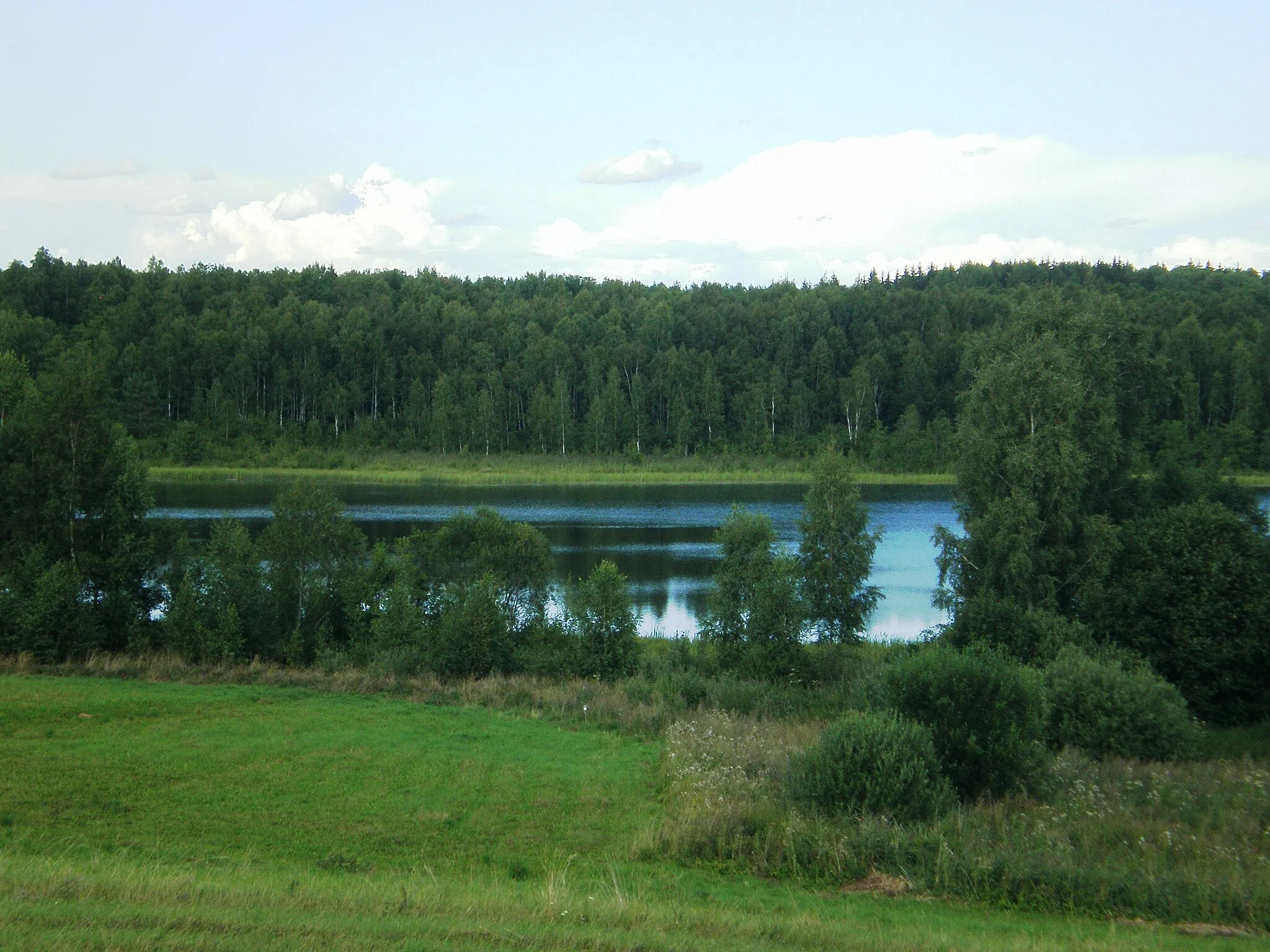 Photo showing: Veselavos ežeras, Zarasų raj., Lietuva