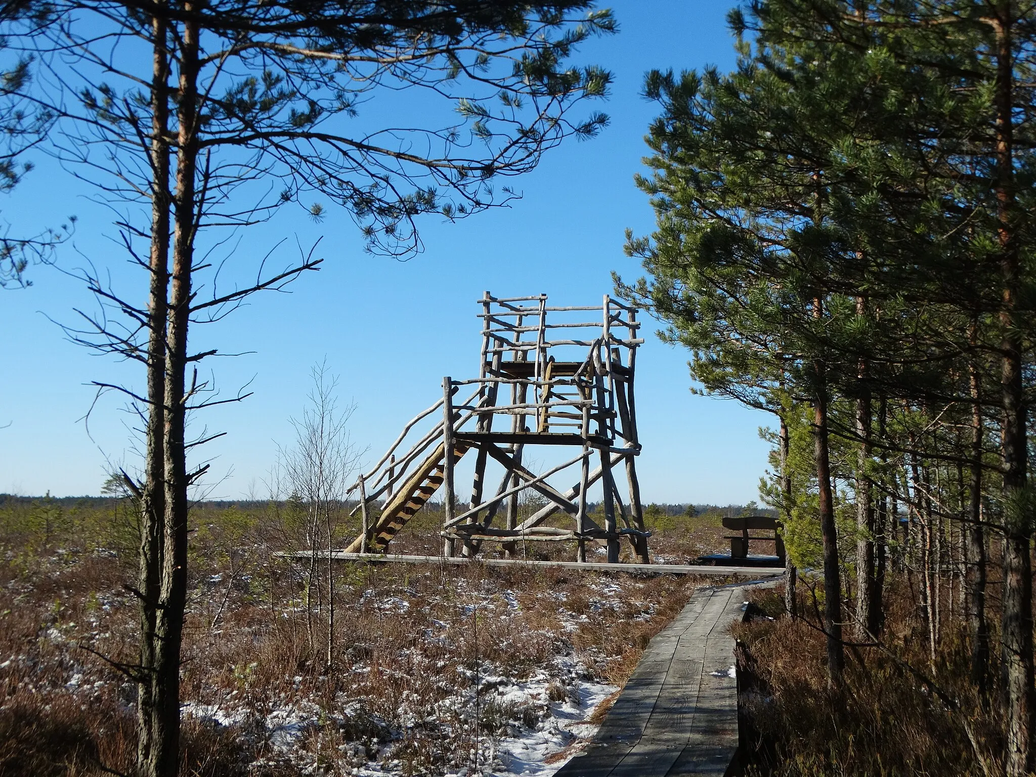 Photo showing: Swamp of Plynoji, educational walkway, Tauragė District, Lithuania