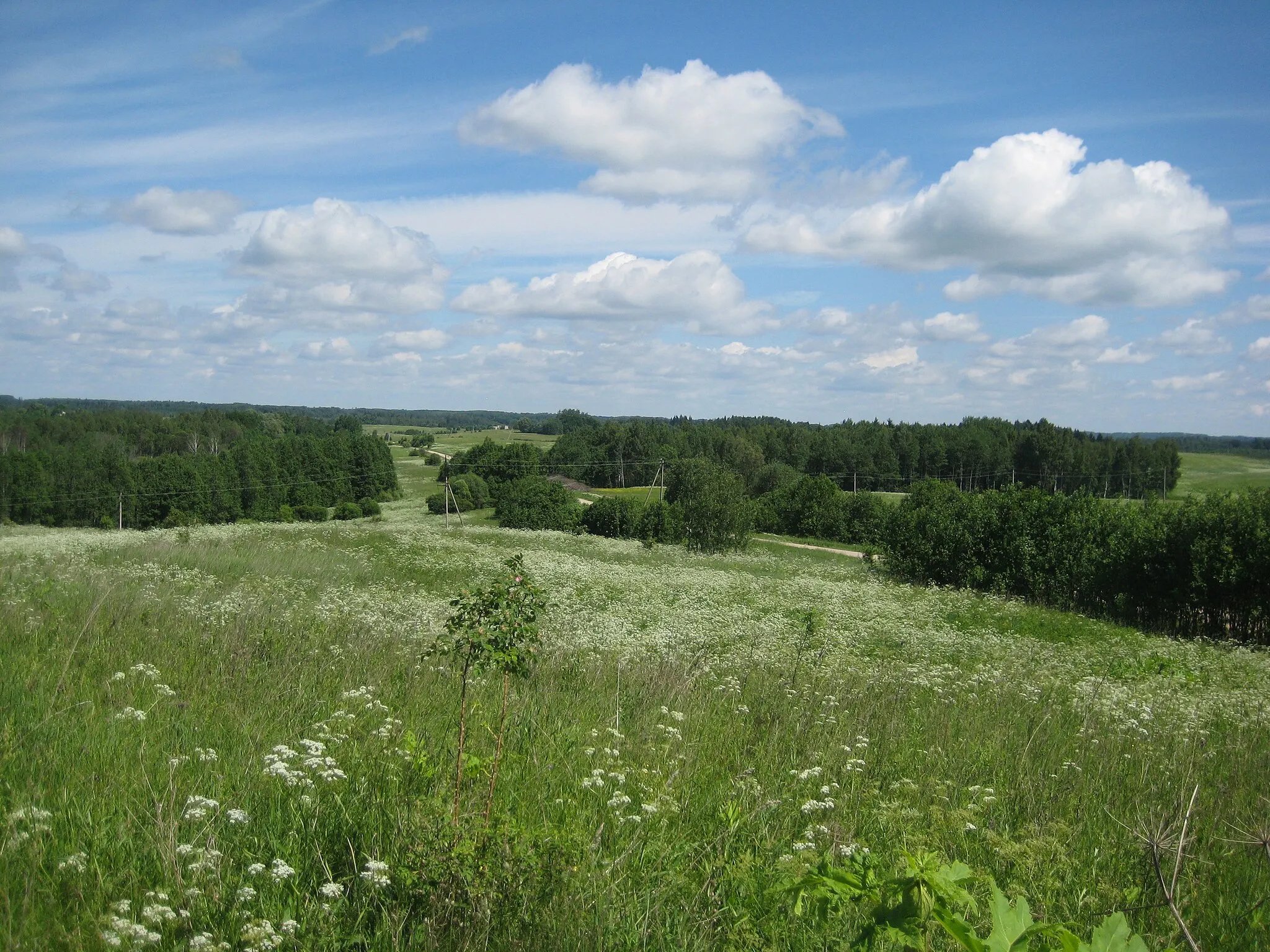 Photo showing: Suvieko sen., Lithuania