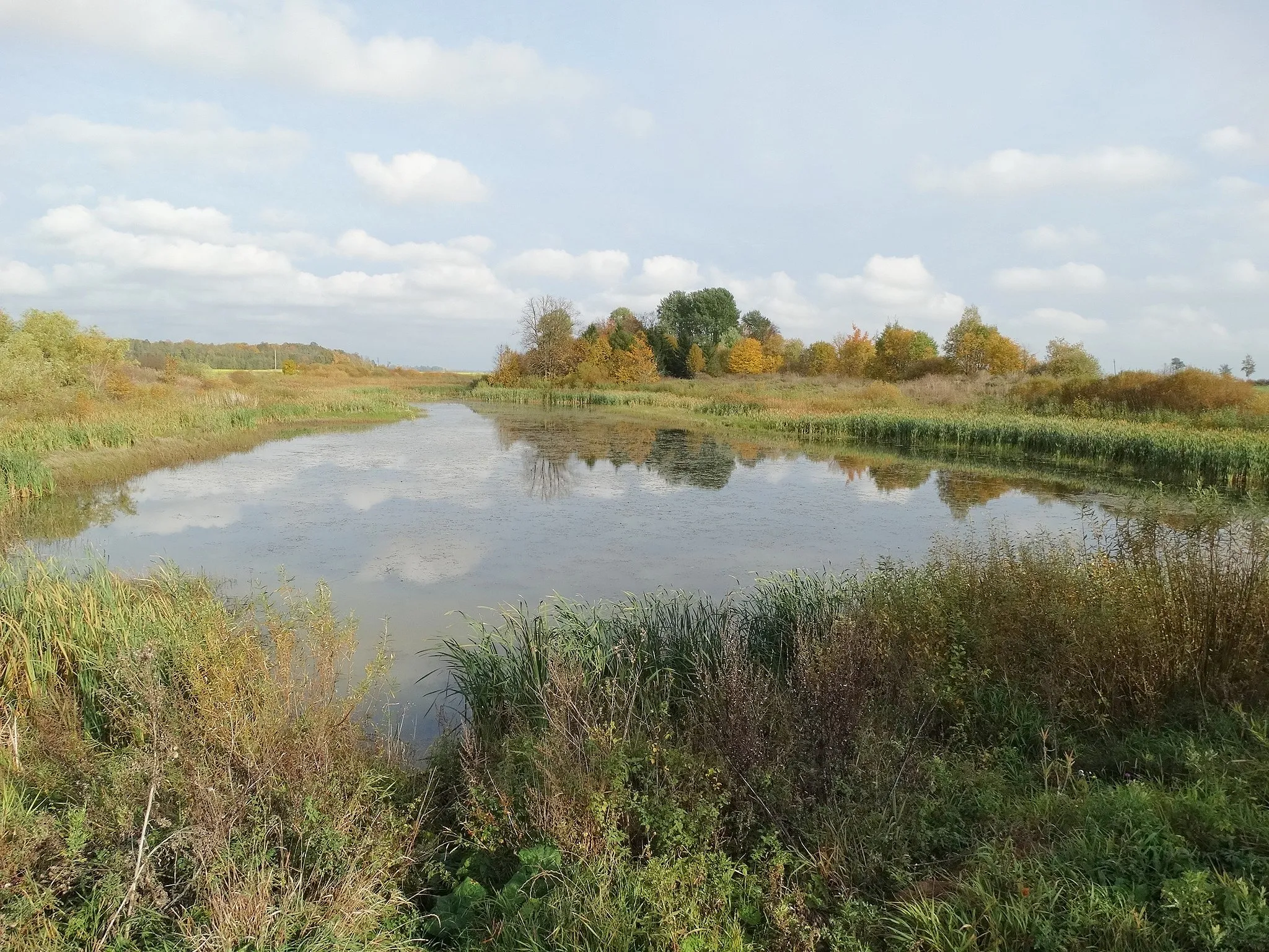 Photo showing: Pond Valakbūdžių, Šakiai district, Lithuaniа