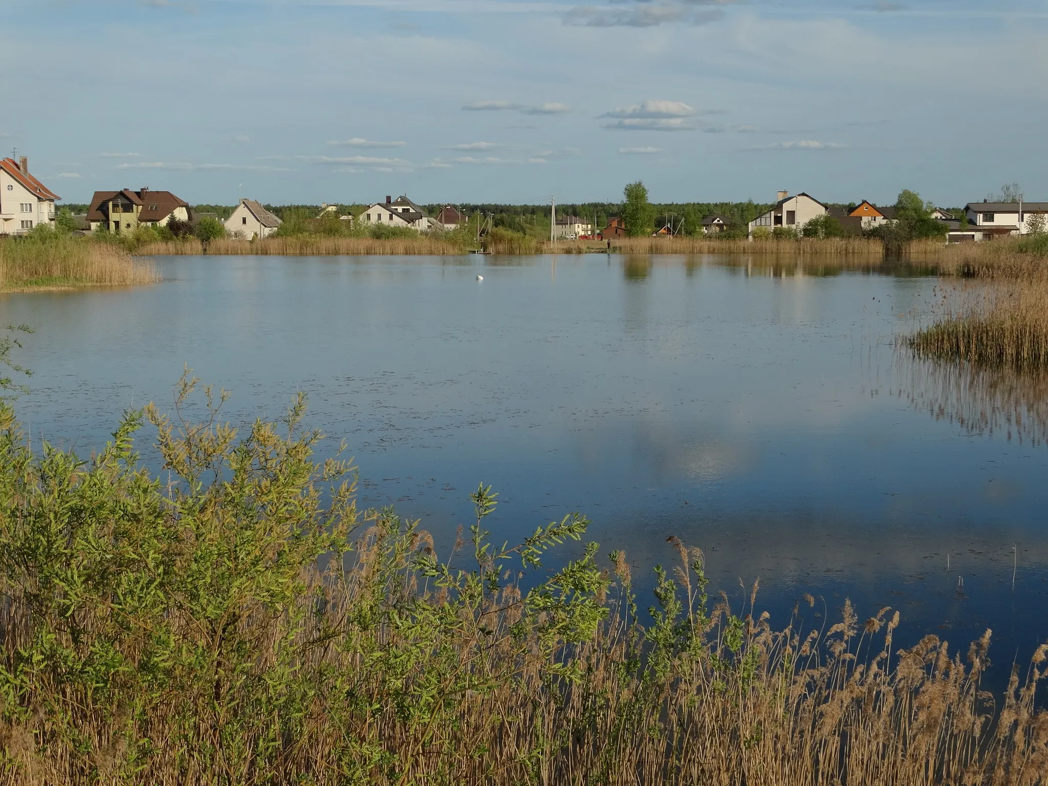 Photo showing: Pond, Neveronys, Lithuania