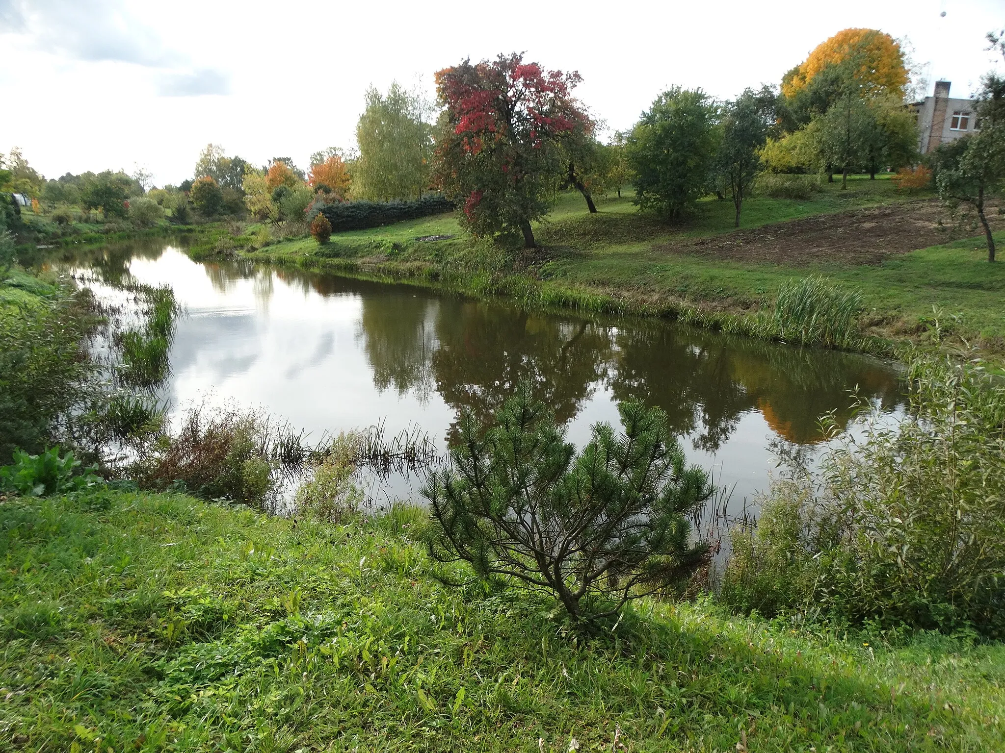Photo showing: Kuonė River in Pakuonis, Prienai District, Lithuania