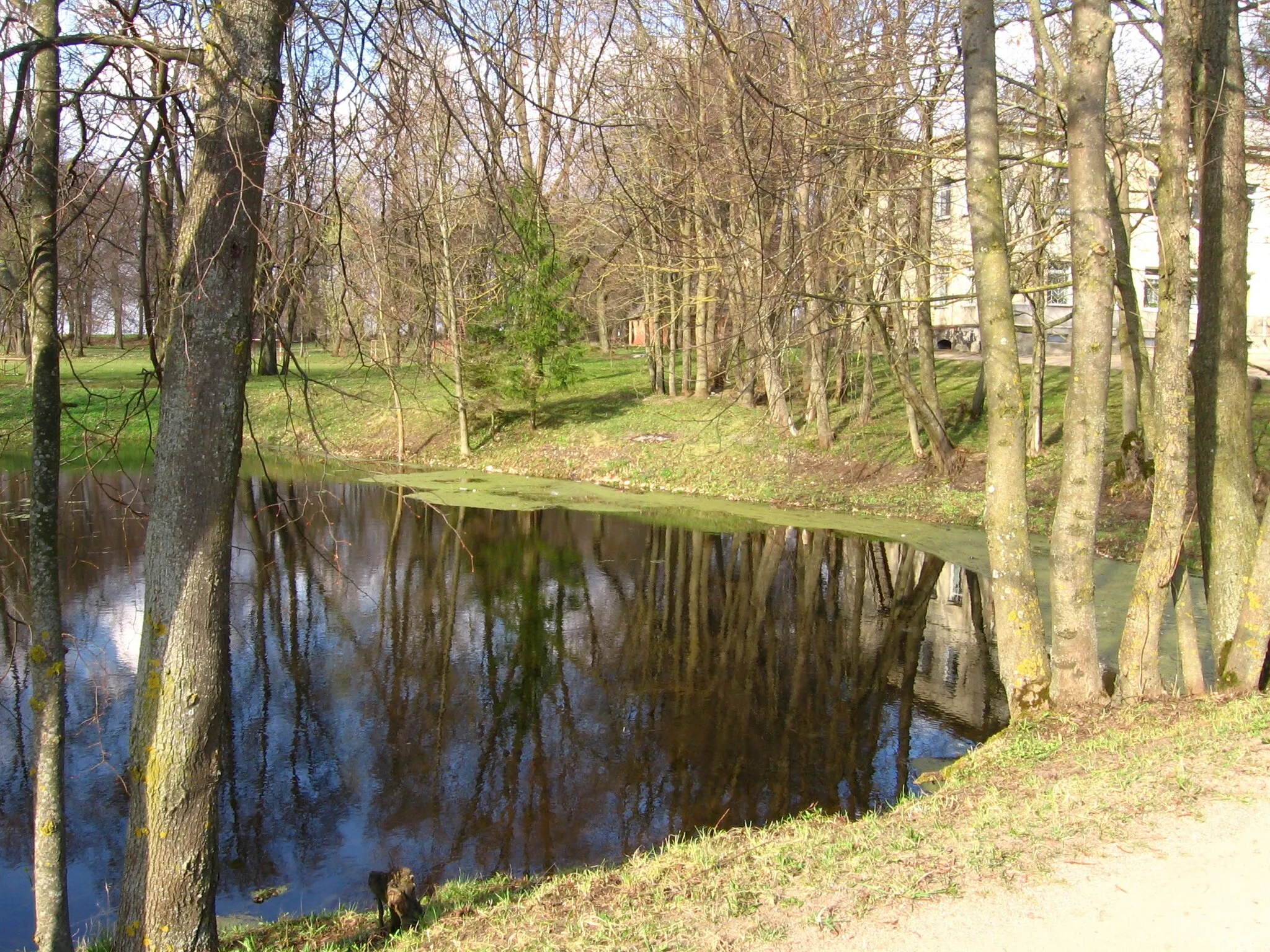 Photo showing: View of Ašminta park, Prienai district, Lithuania