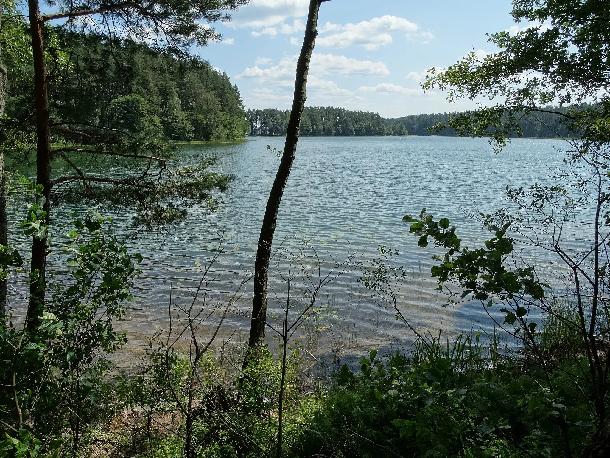 Photo showing: Juodieji Lakajai Lake, Molėtai district, Lithuania