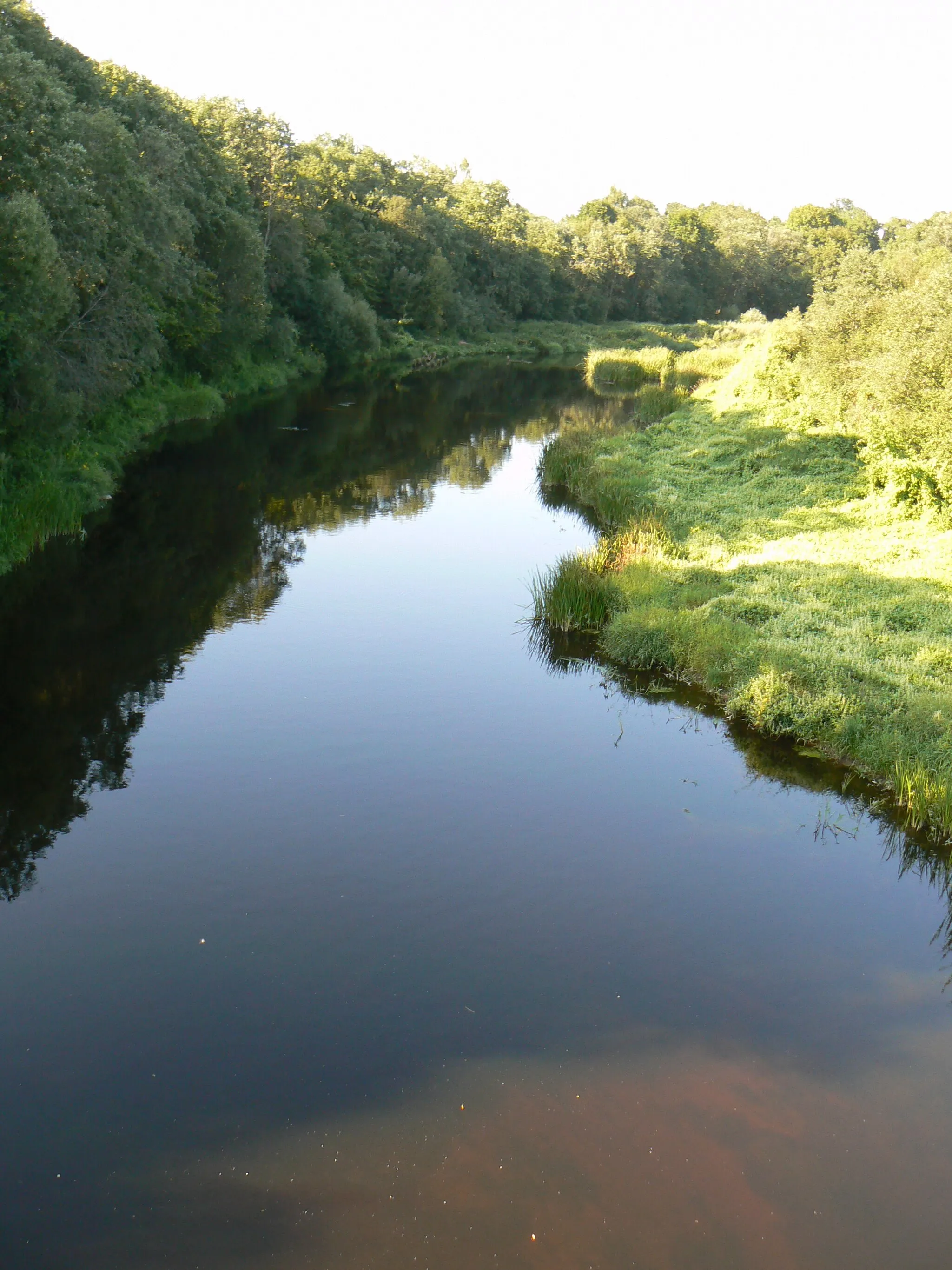 Photo showing: River Jūra in Pajūris (Šilalė district). View to South