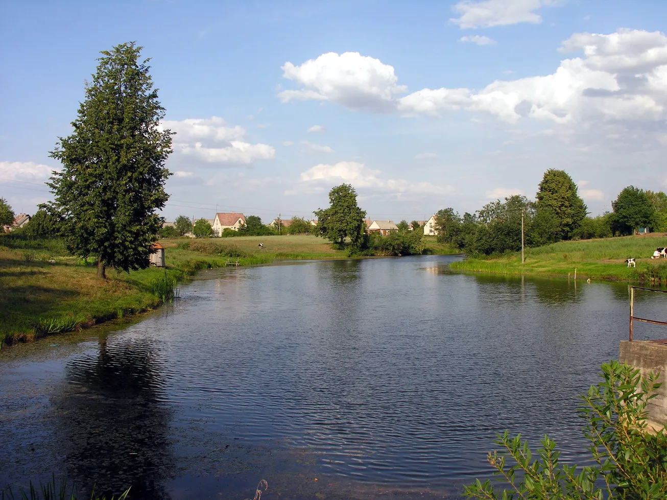 Photo showing: Palnosai, Mažeikių raj., Viekšnių sen.
Tvenkinys

Foto: Algirdas, 2006 m. rugpjūčio 11 d., Lietuva