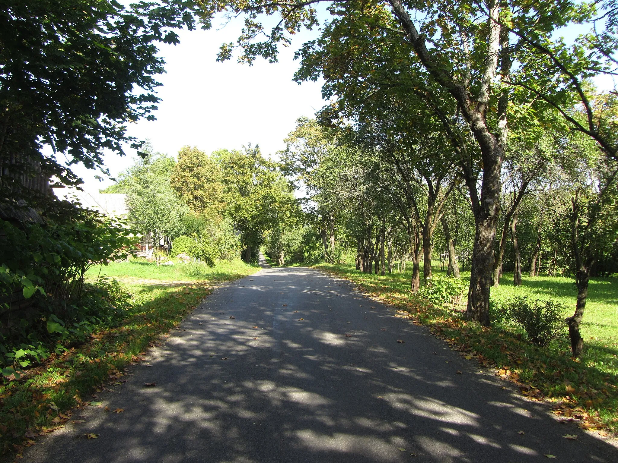 Photo showing: Mažėnai 30283, Lithuania