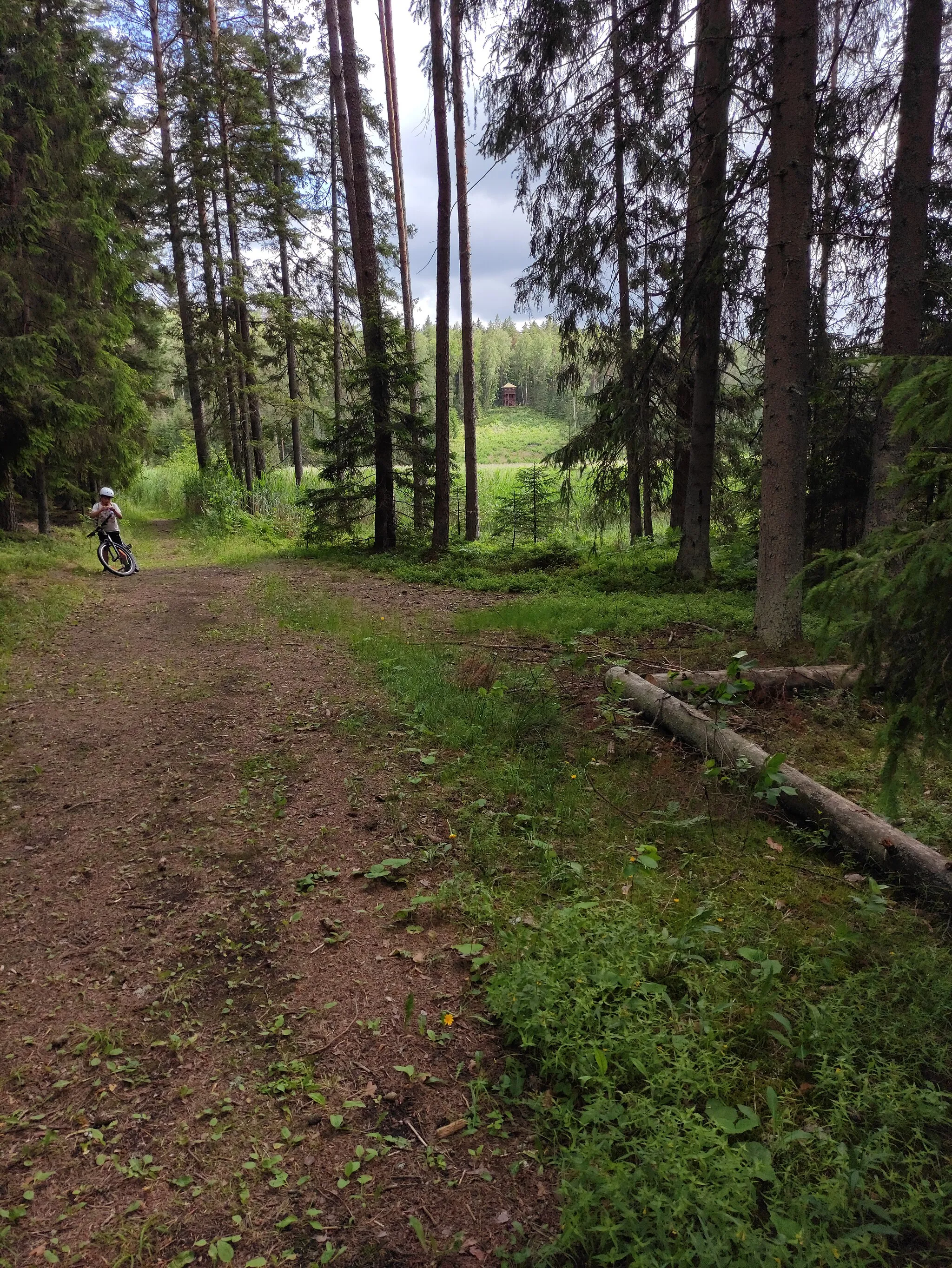 Photo showing: Naučná stezka Paplatelė (Paplatelės pažintinis takas), okres Plungė, Litva