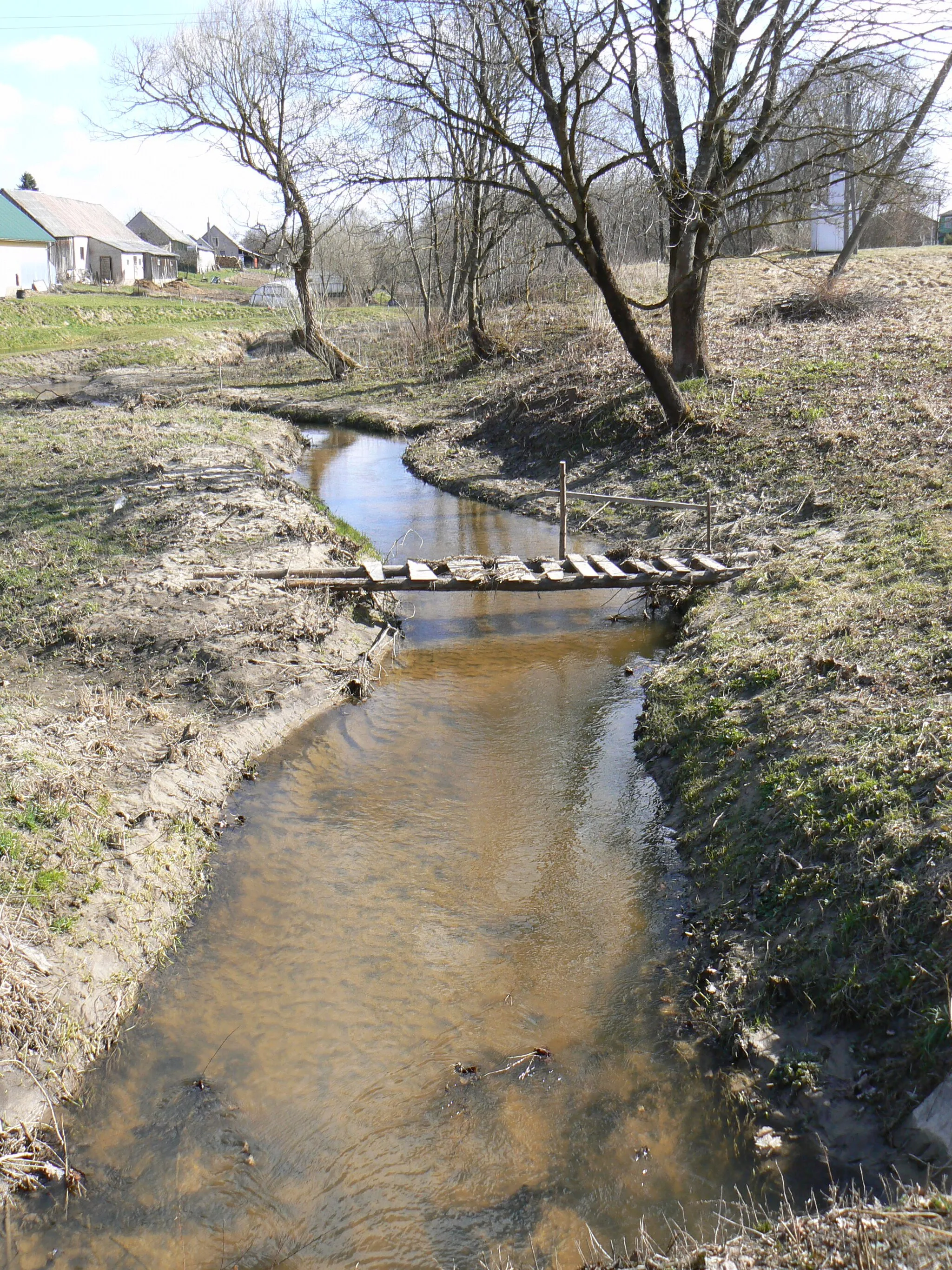 Photo showing: Říčka Ašutis ve vsi Šilai (severovýchodní okraj Šilalė) v ulici Neroto. Pohled proti proudu, t.j. k sousední vsi Balsiai, k severovýchodu