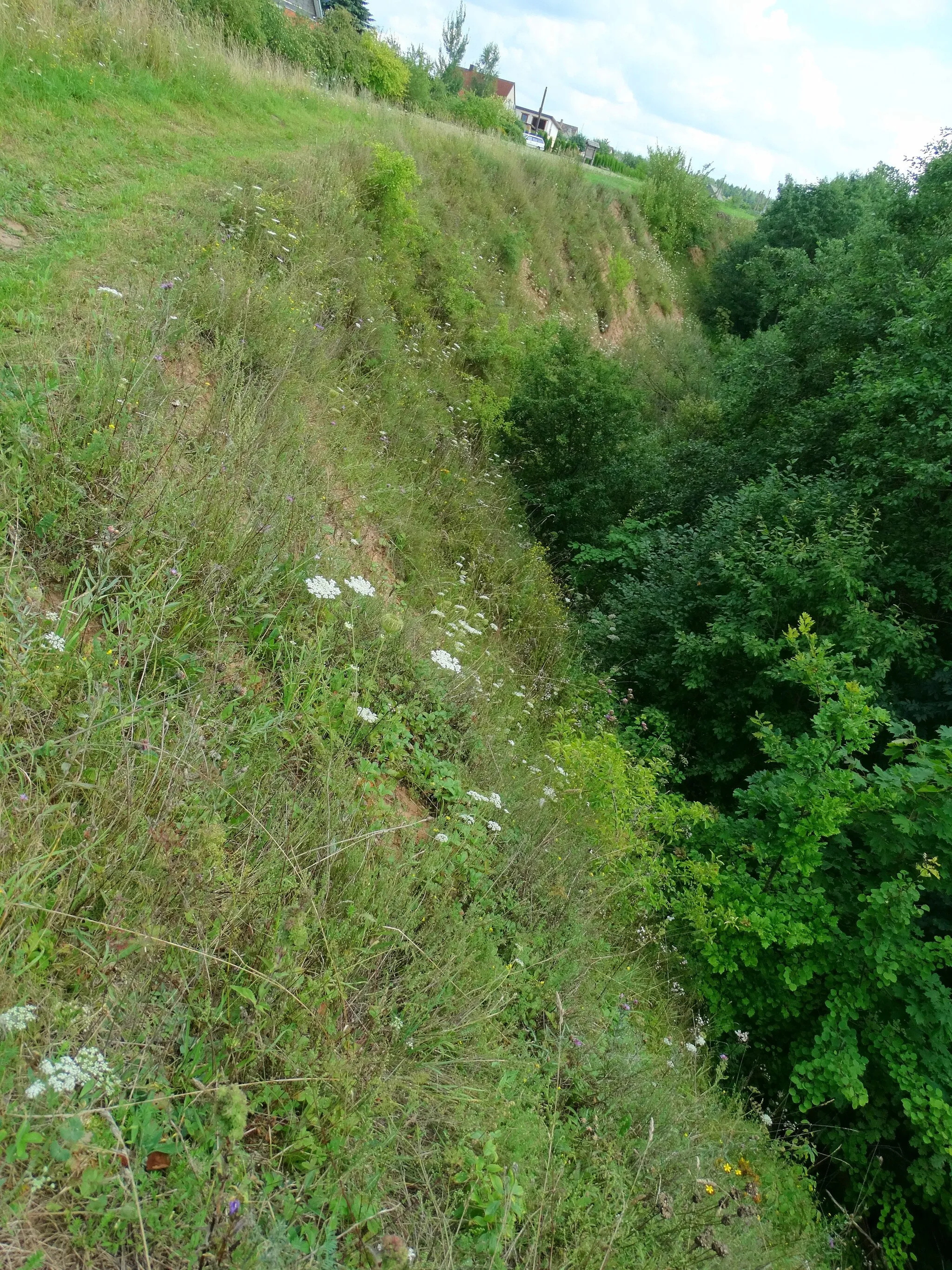 Photo showing: Raudonskardis outcrop, Papilė, Akmenė district, Lithuania