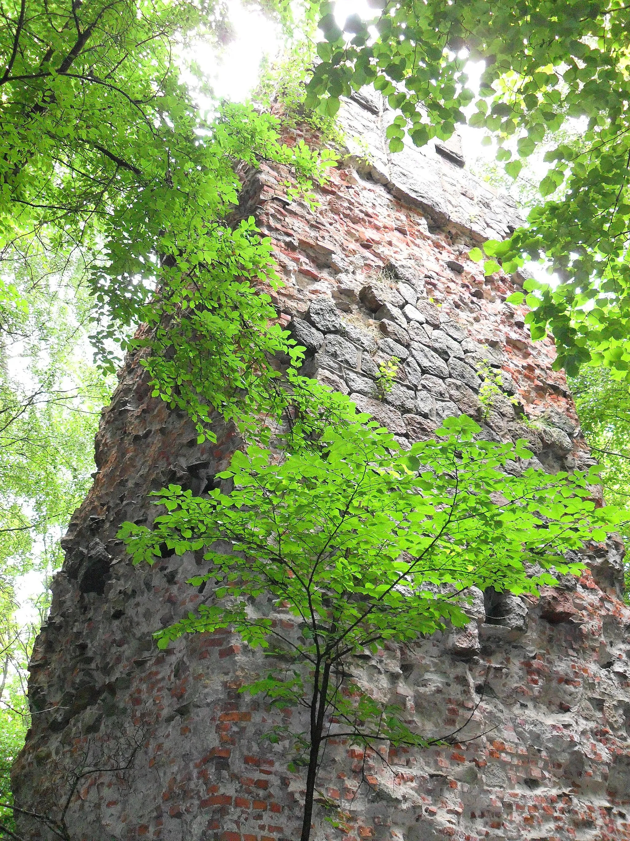 Photo showing: Bismarck tower in Gorino, Kaliningrad