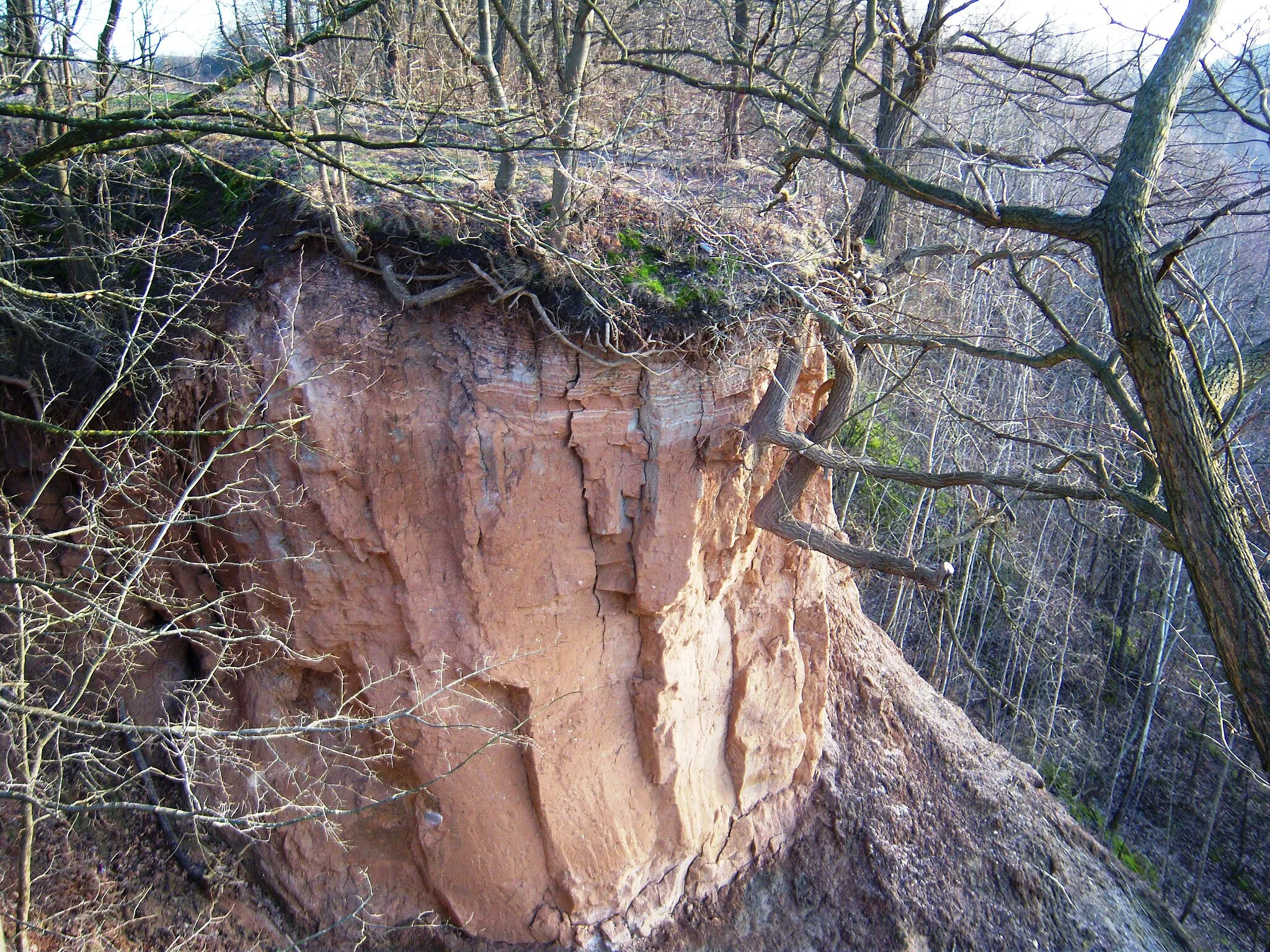 Photo showing: Jiesia River outcrop, clay layers, in Rokai, Kaunas, Lithuania