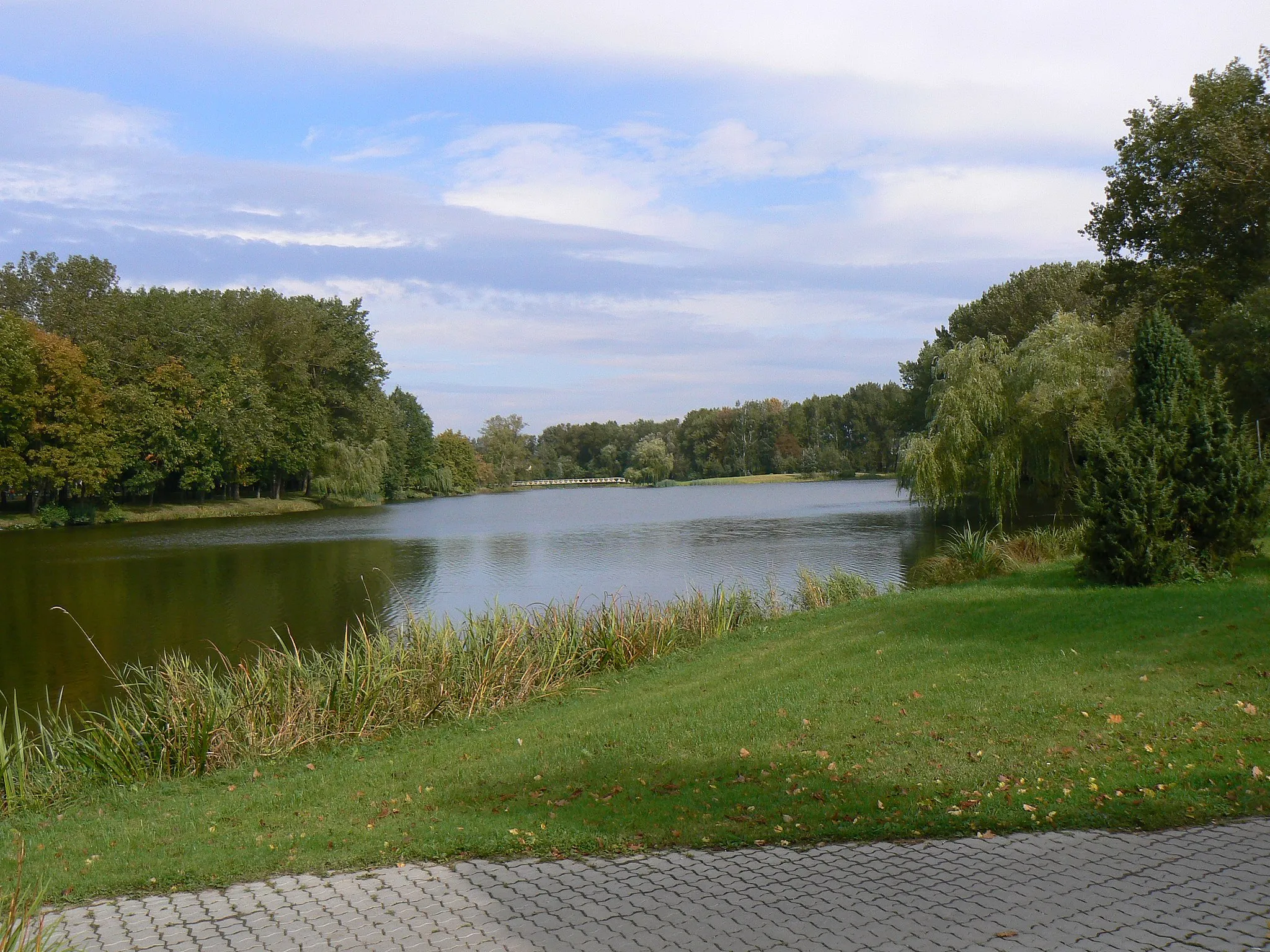 Photo showing: A pond in park in Šakiai