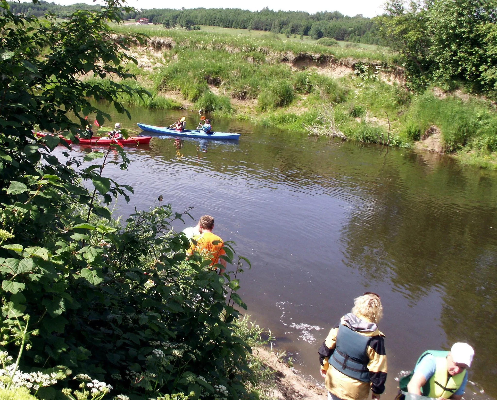 Photo showing: Minija river near Raguviškiai, Kretinga district, Lithuania