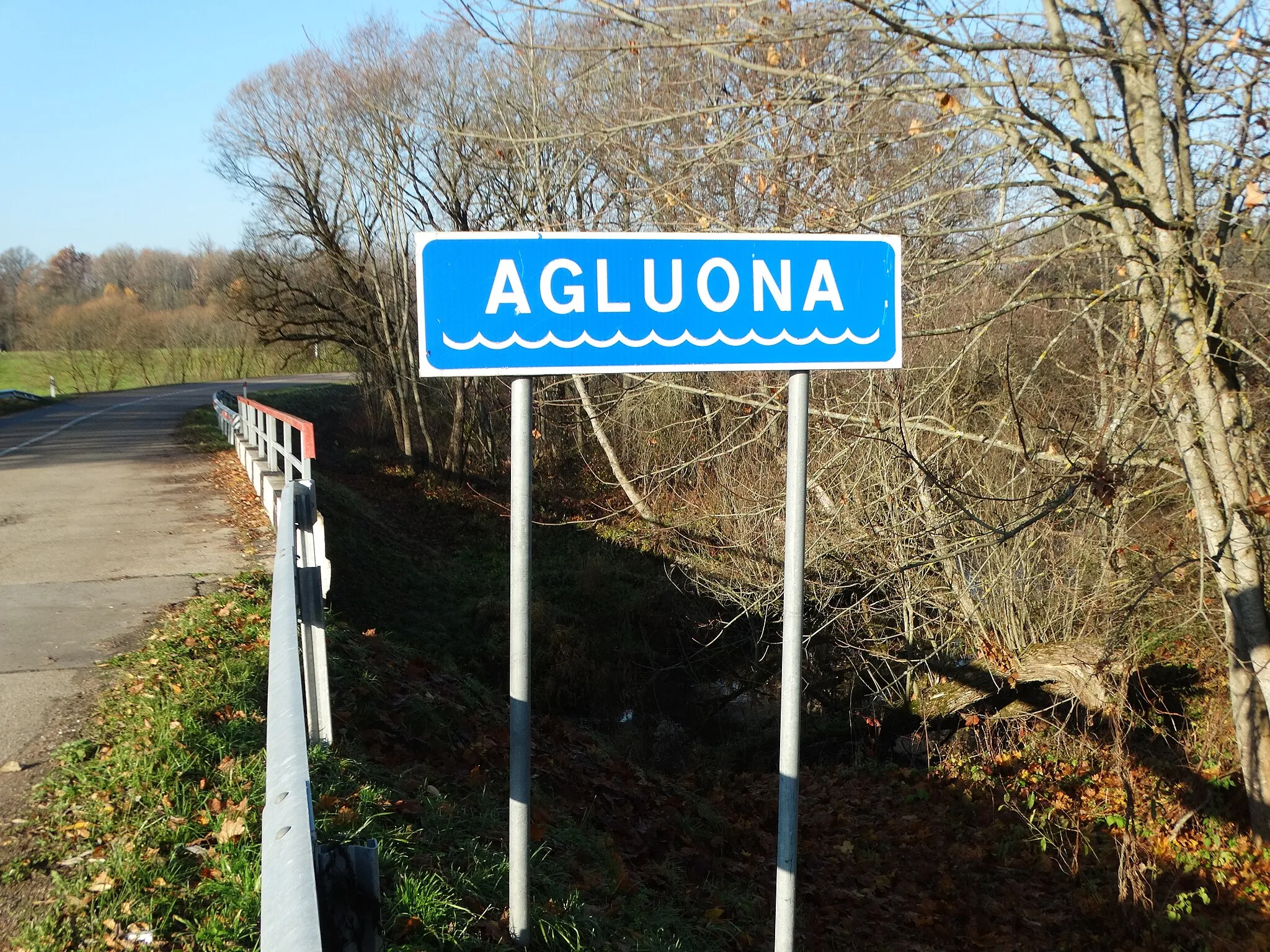 Photo showing: Agluona stream by Antegluonis, Tauragė district, Lithuania