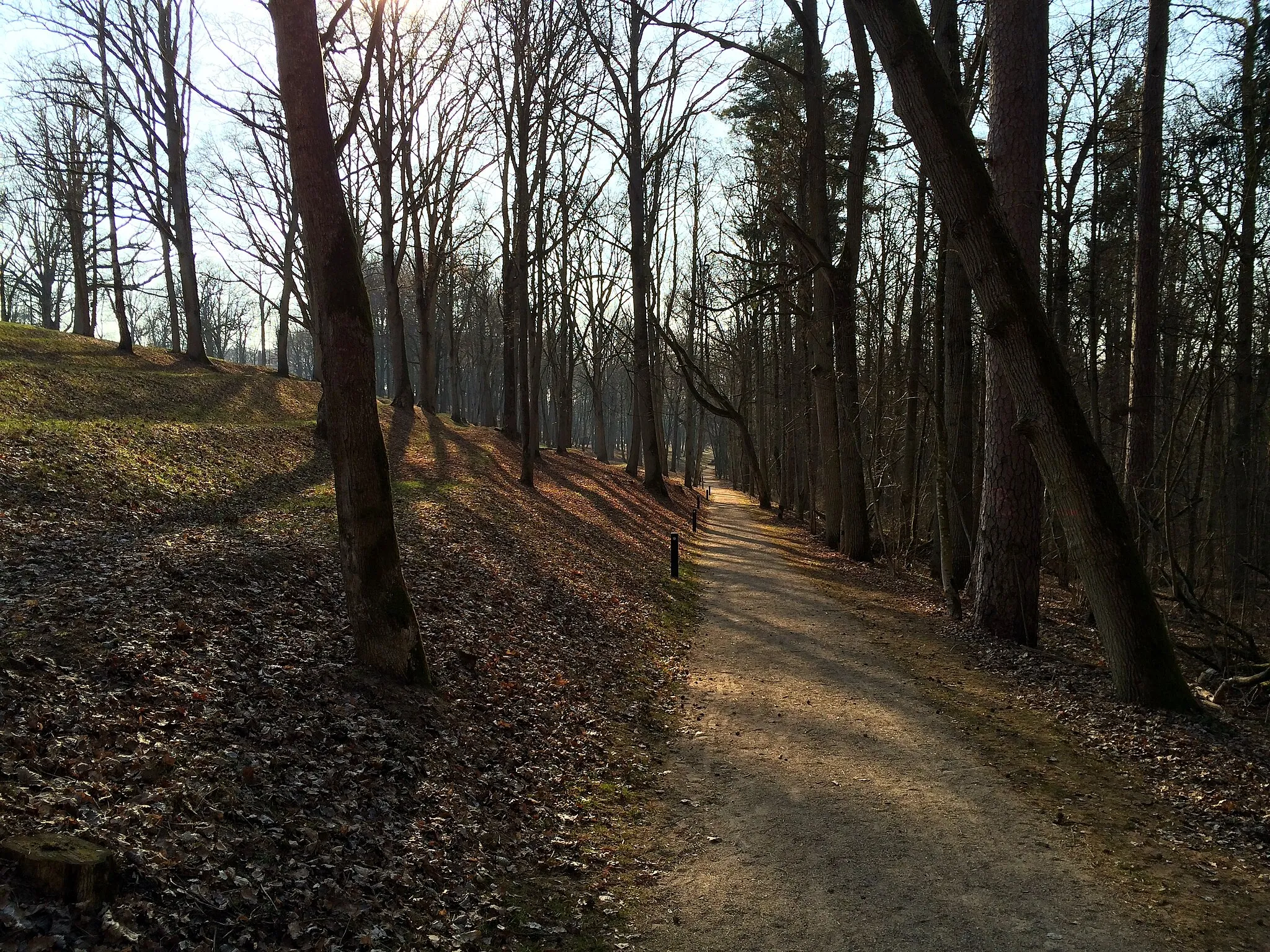 Photo showing: Gelgaudiškio dvaro parke