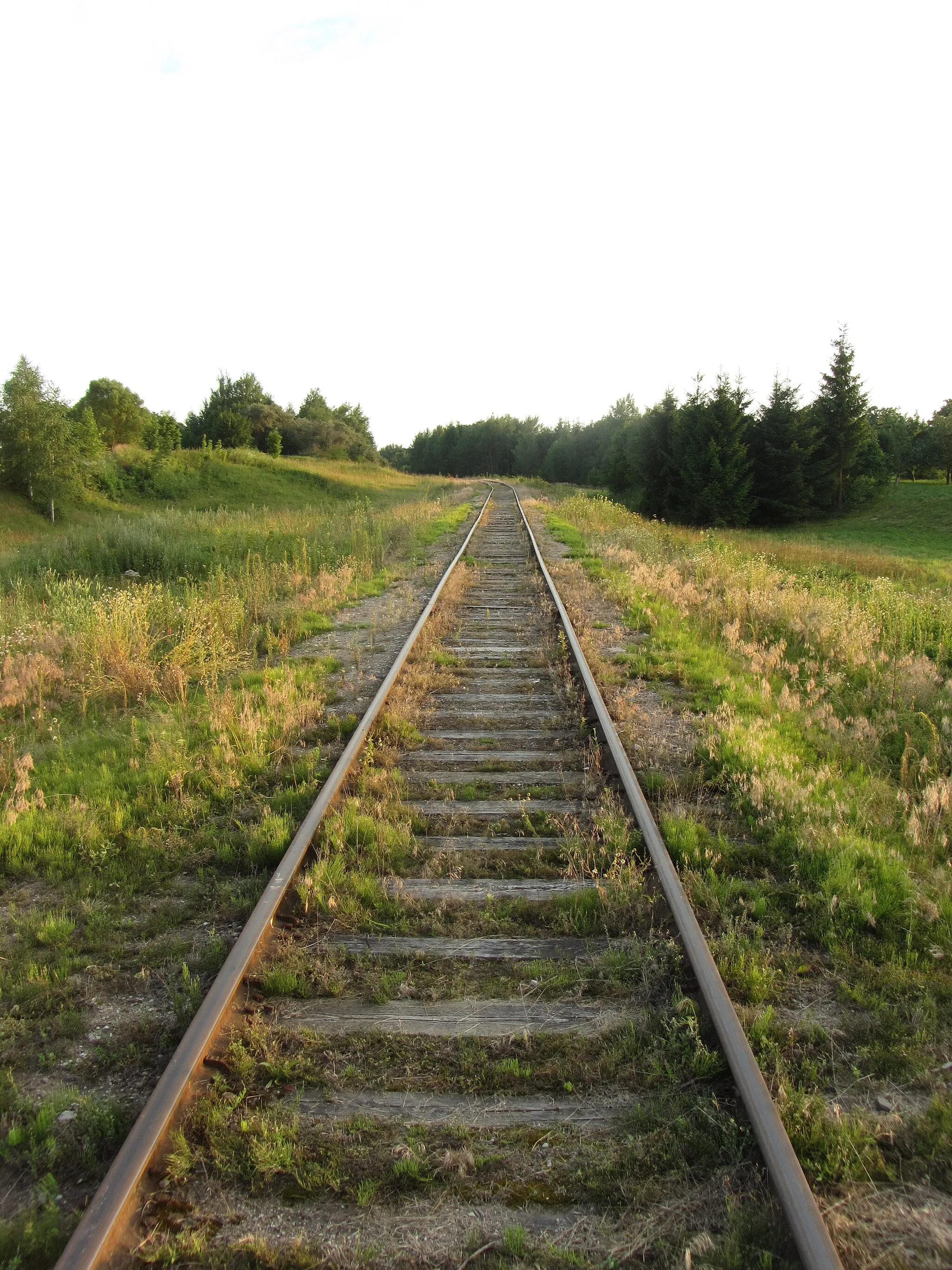 Photo showing: Nemeikščiai, Lithuania