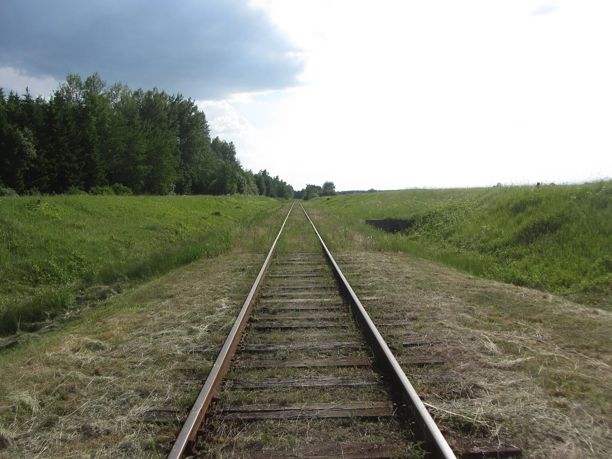 Photo showing: Šilų sen., Lithuania