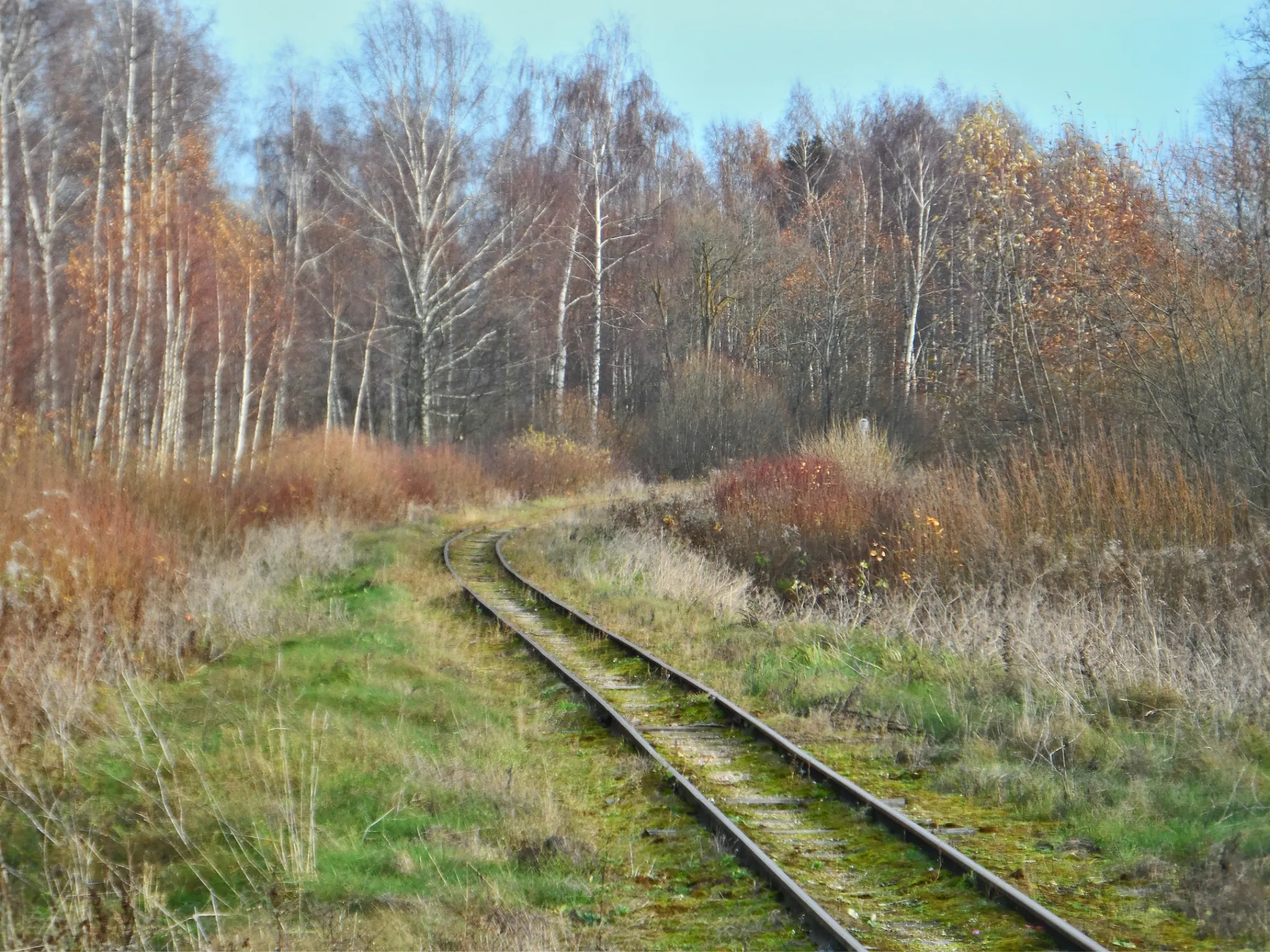 Photo showing: railway