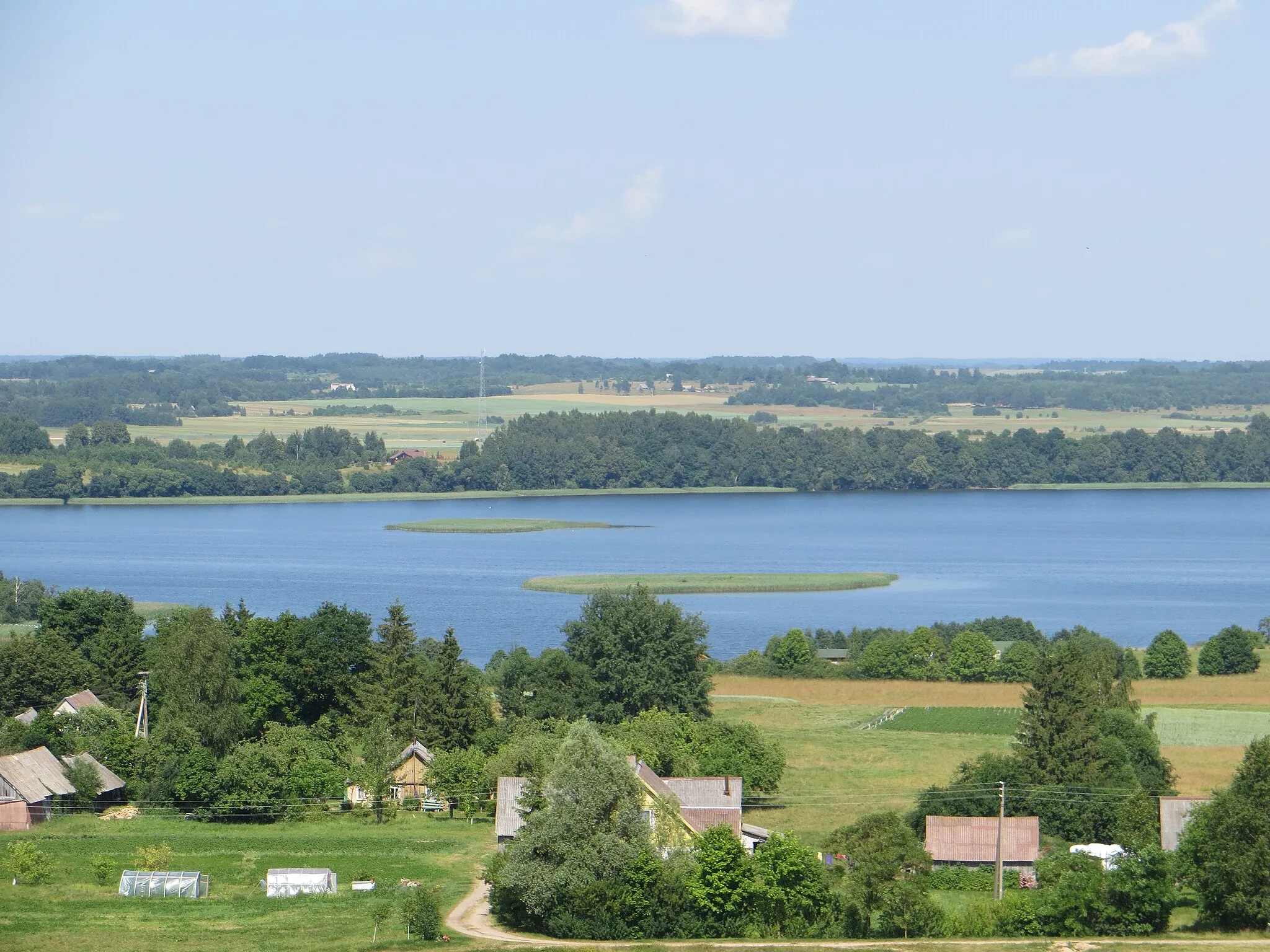 Photo showing: Martnonys, Lithuania