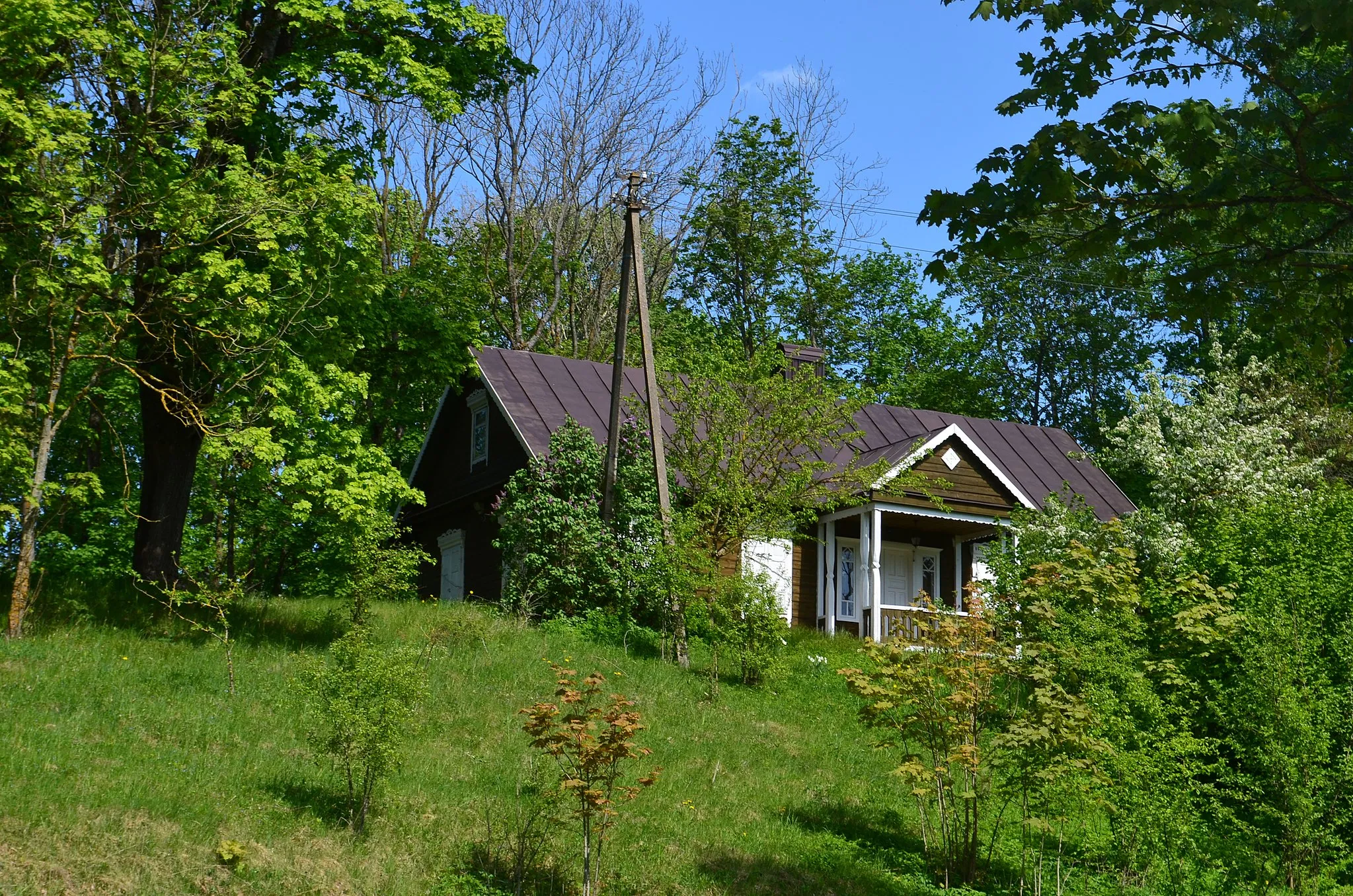 Photo showing: Antaplaštakis, Kurklių sen., Anykščių raj.