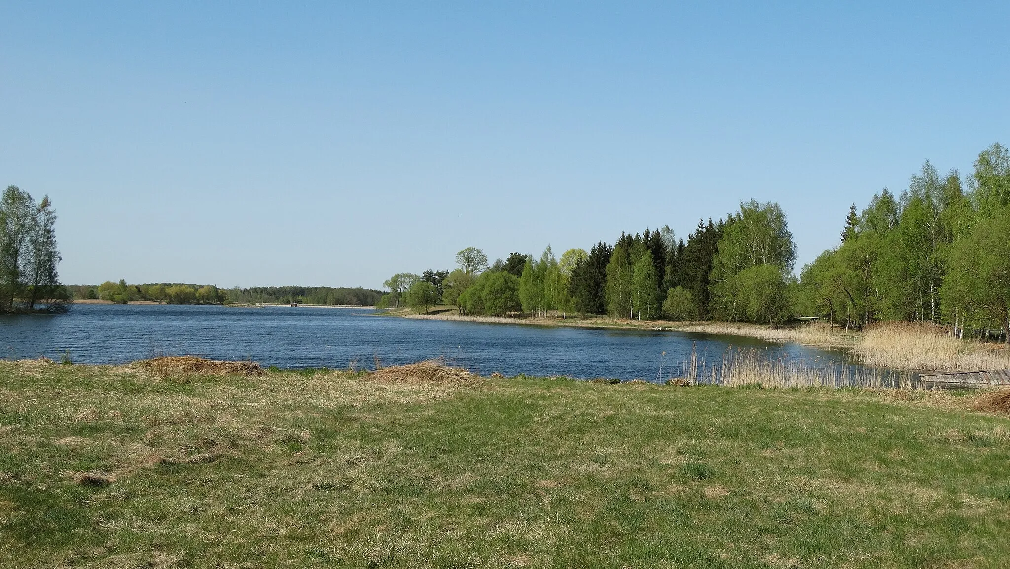 Photo showing: Laičiai I pond, Pakruojis district, Lithuania