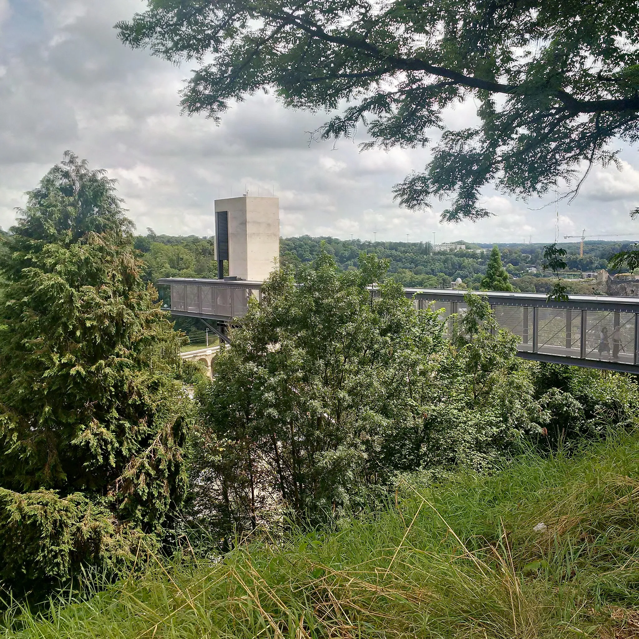 Photo showing: Vue depuis le Parc Pescatore sur la passerelle piétonnière menant vers l'ascenseur Pfaffenthal - ville-haute à Luxembourg,