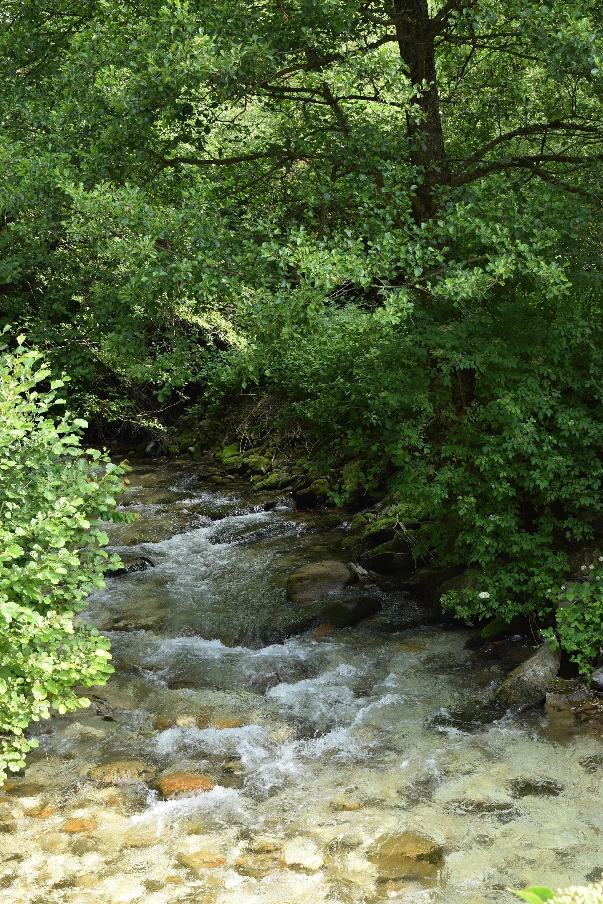 Photo showing: River Babuna in the village Nežilovo