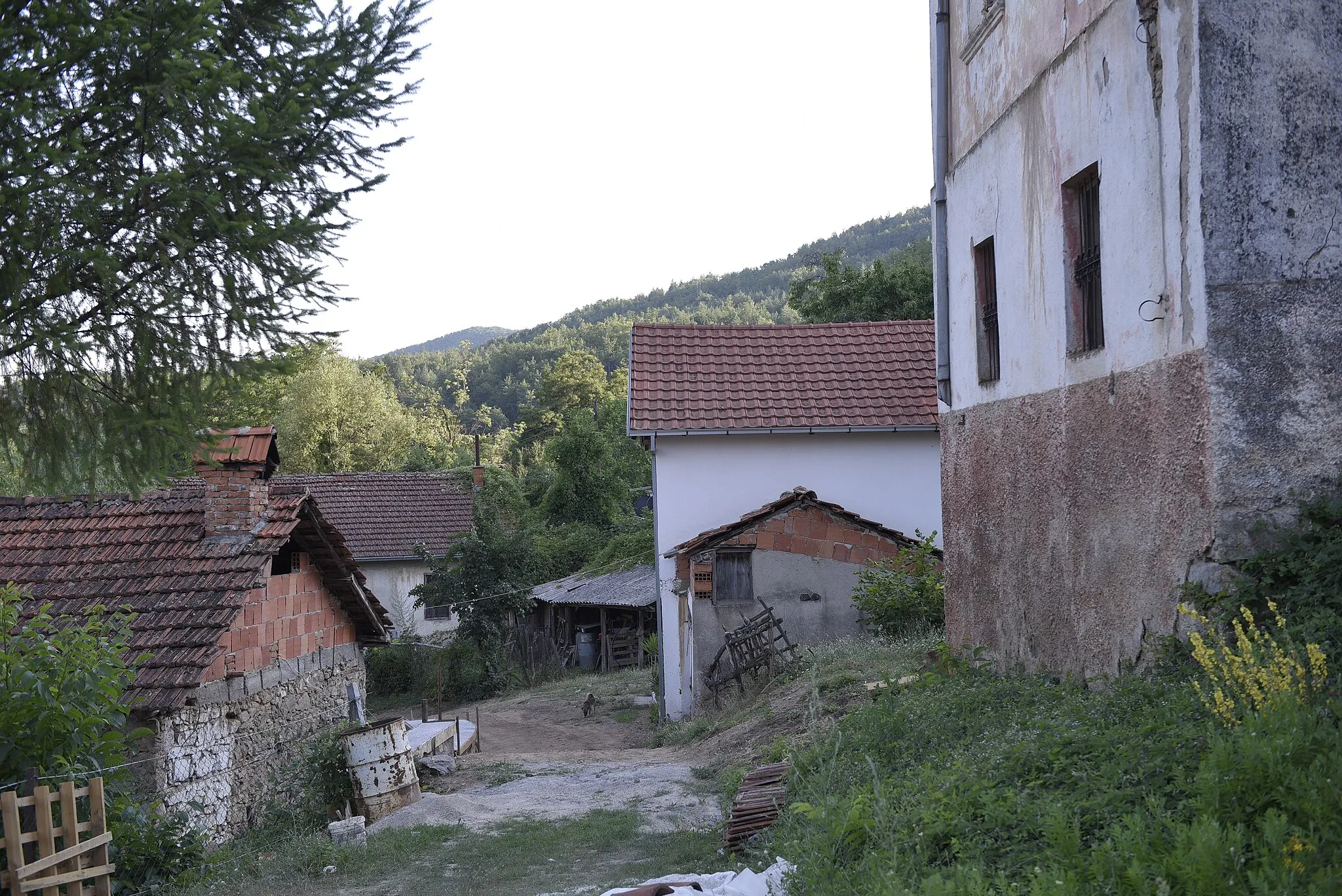 Photo showing: A street and houses in the village of Leva Reka, Resen Municipality.