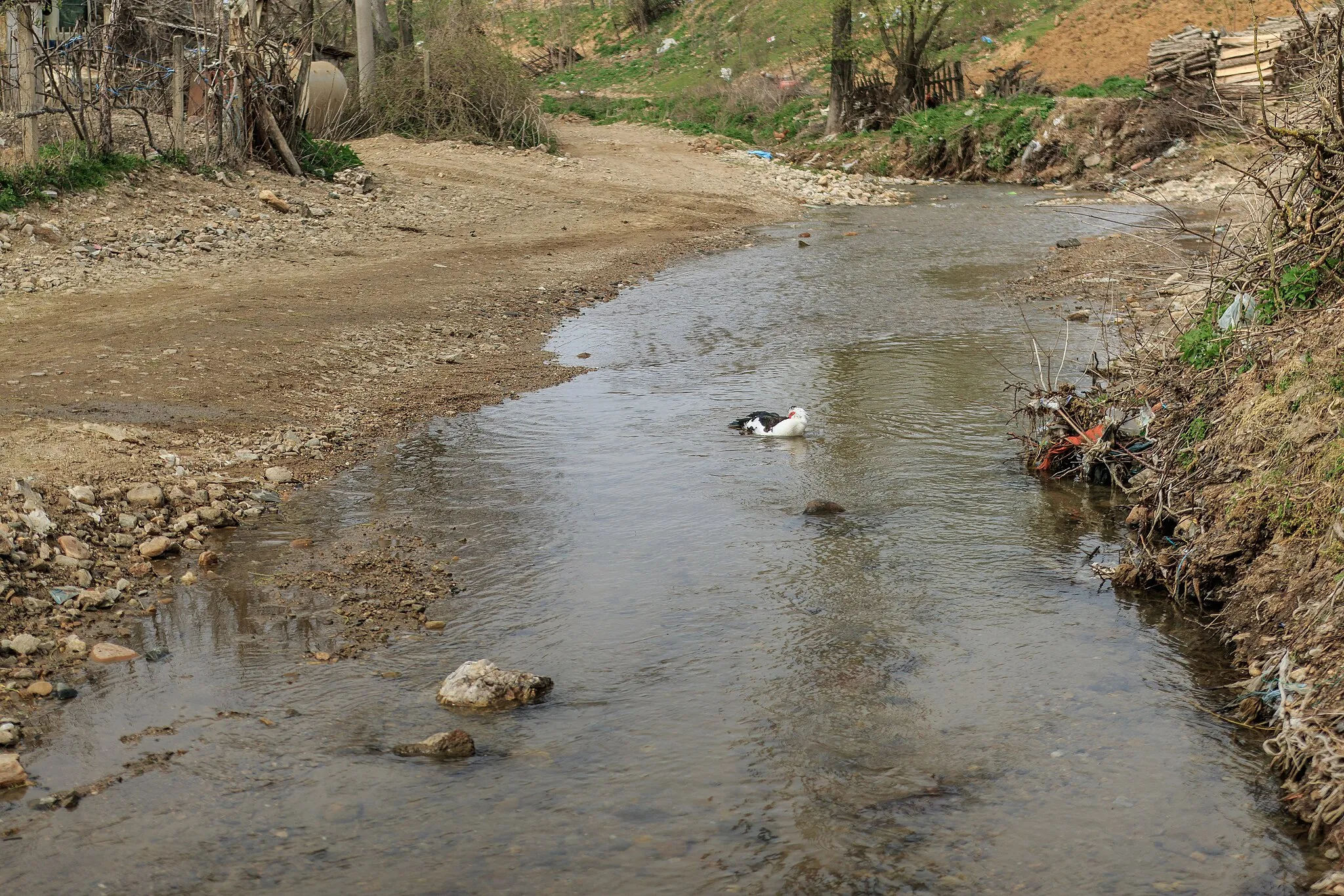 Photo showing: Kriva Lakavica River in the village Dolni Lipoviḱ