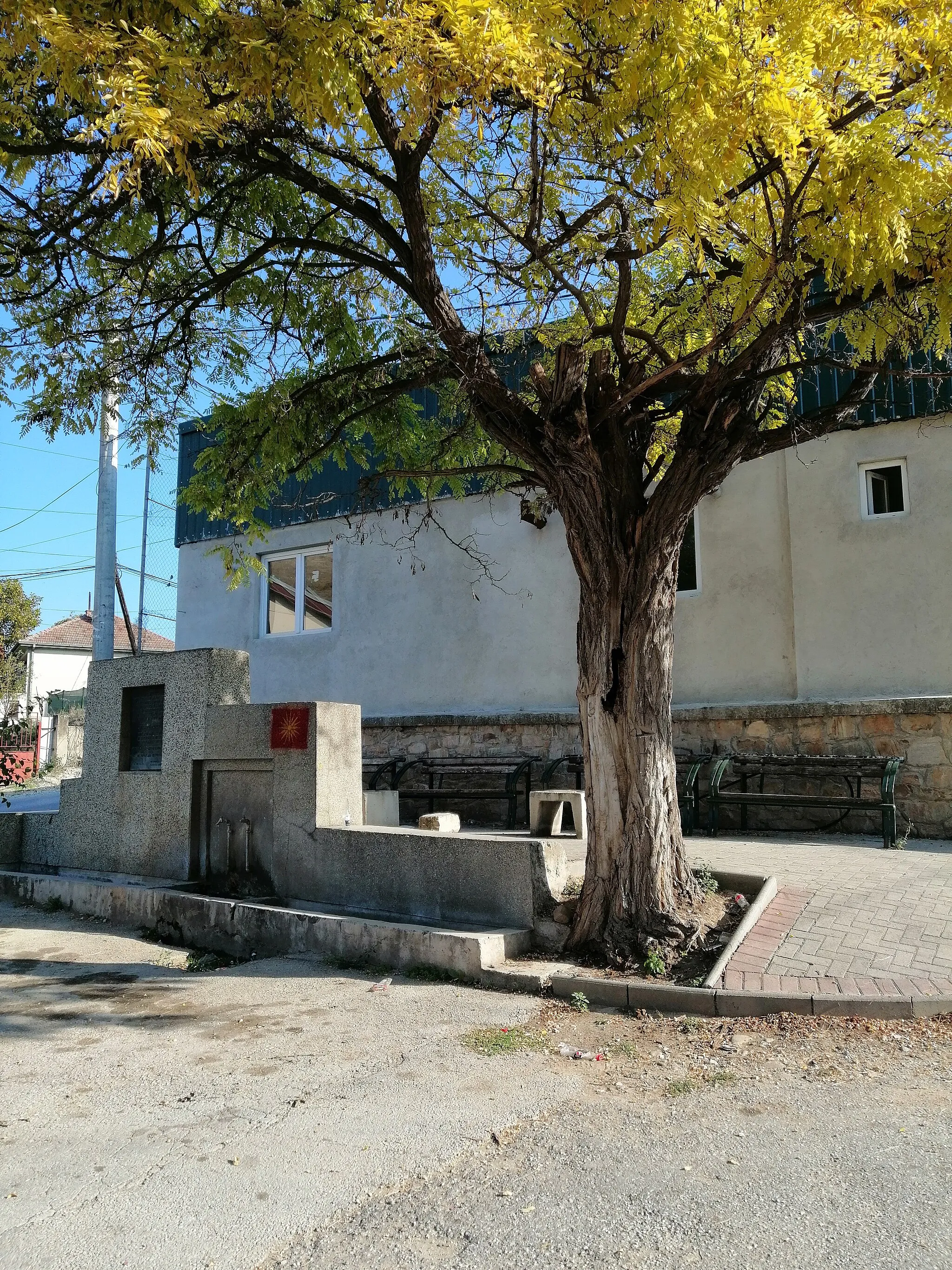 Photo showing: Village pump in Brazda