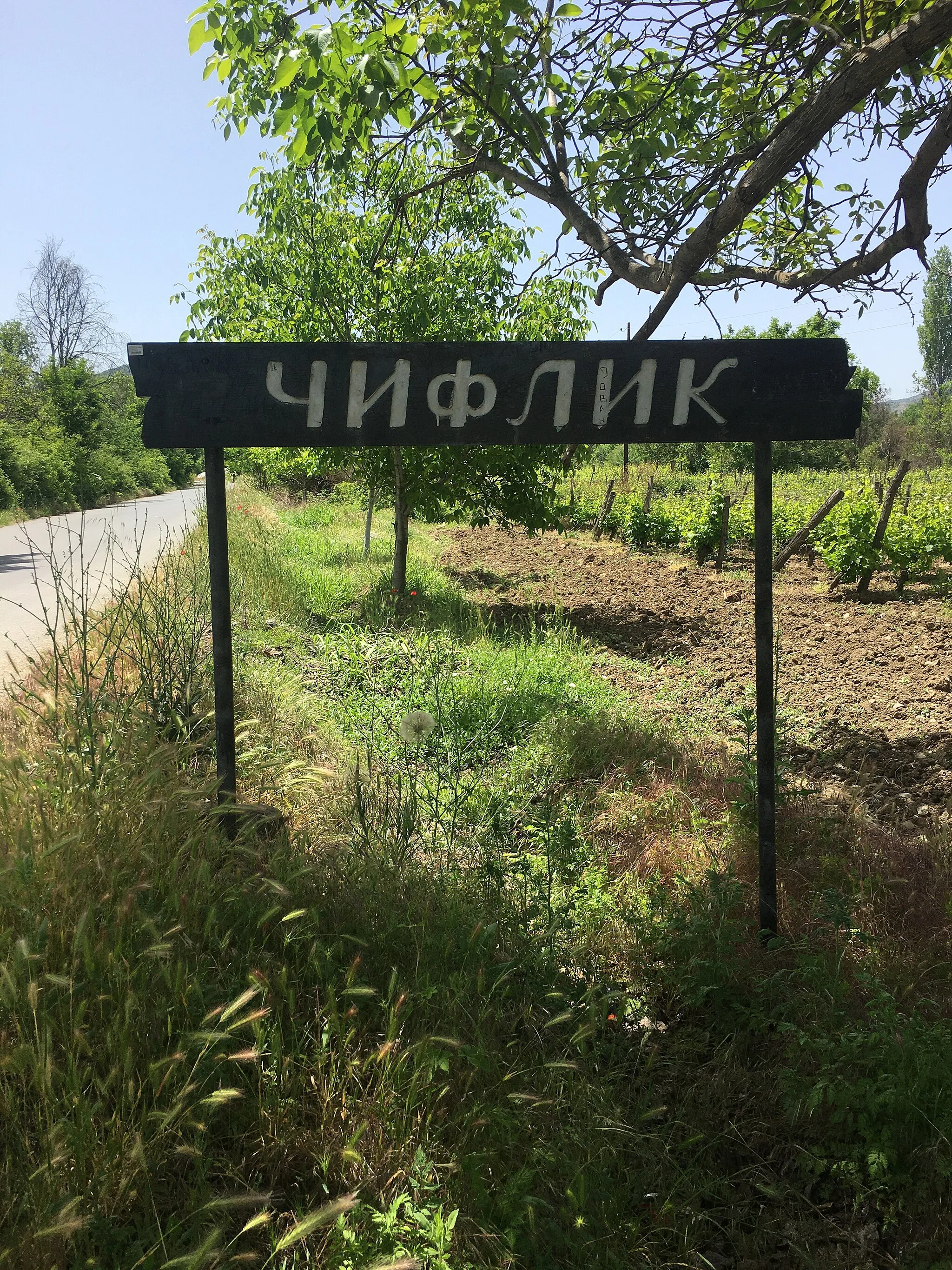 Photo showing: A road sign for the village of Čiflik