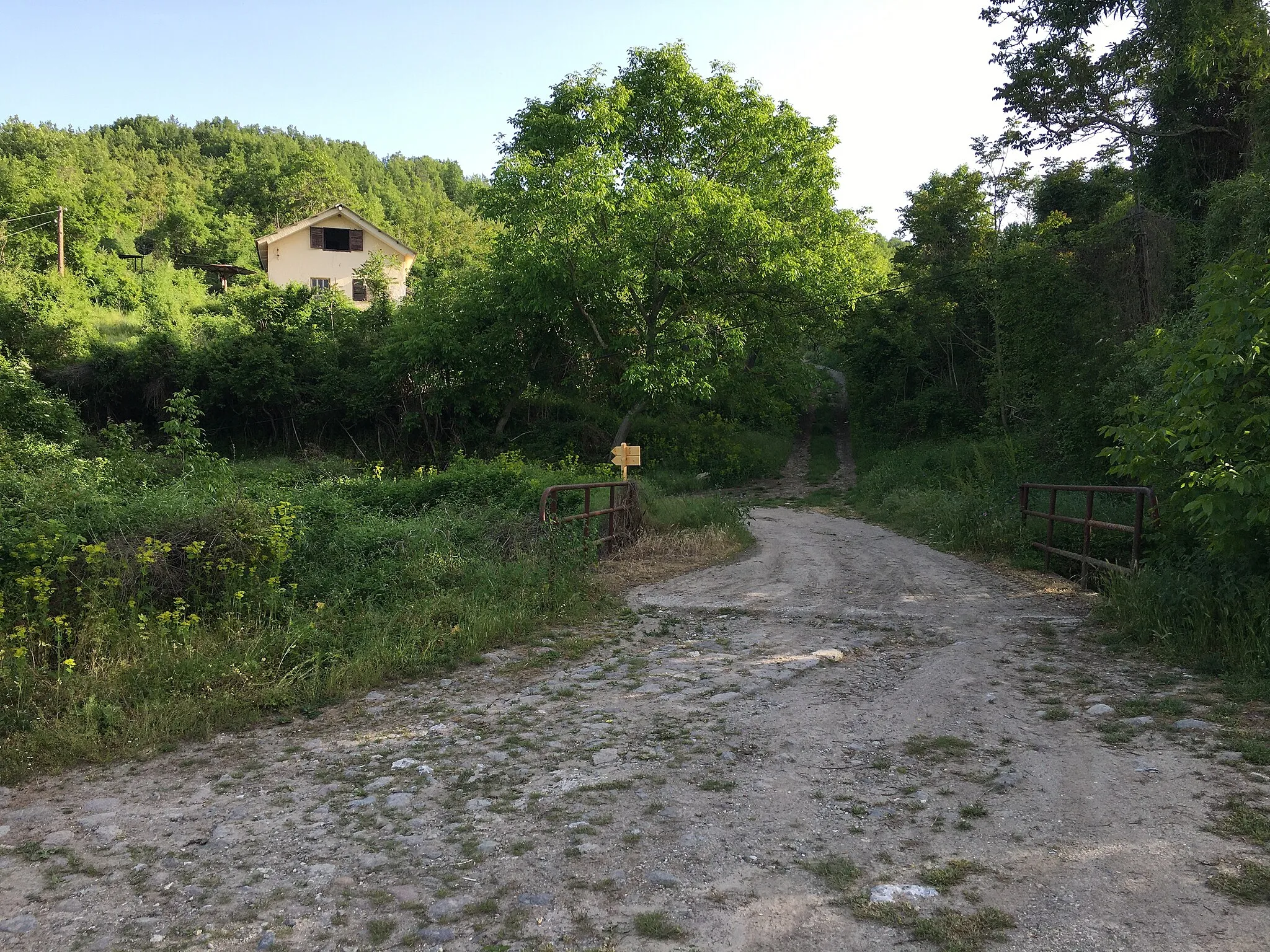 Photo showing: A view in the village of Barovo