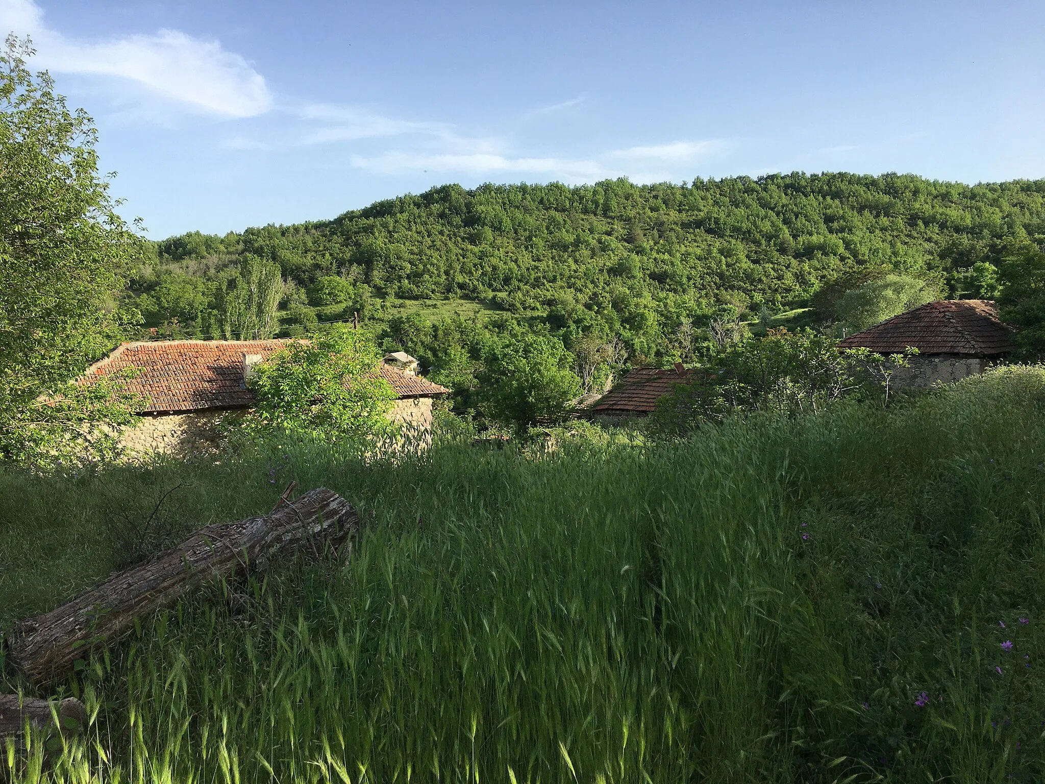 Photo showing: Houses in the village of Barovo