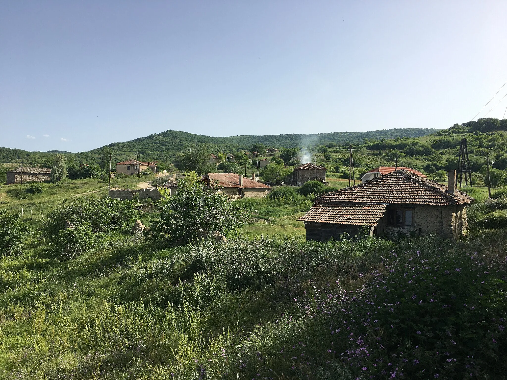 Photo showing: Houses in the village of Vešje