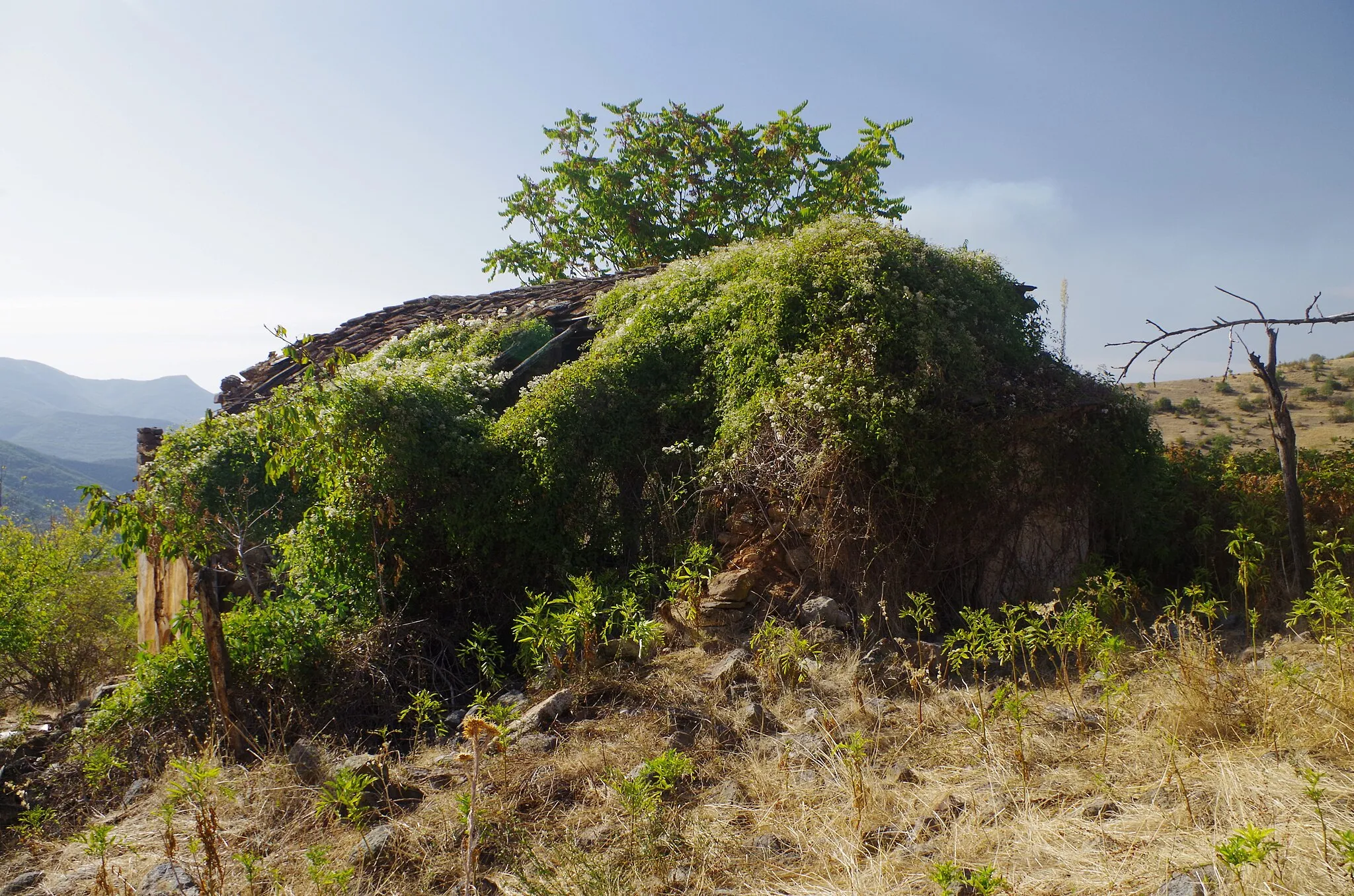 Photo showing: St. Mina Church in the village of Garnikovo