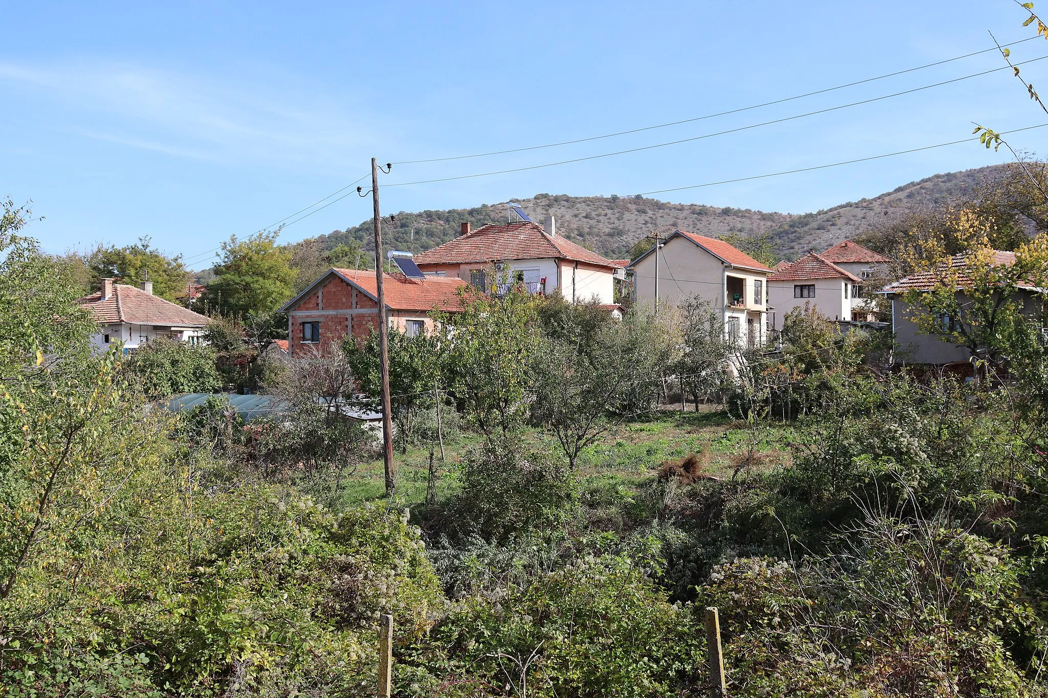 Photo showing: Houses in the village of Orašac