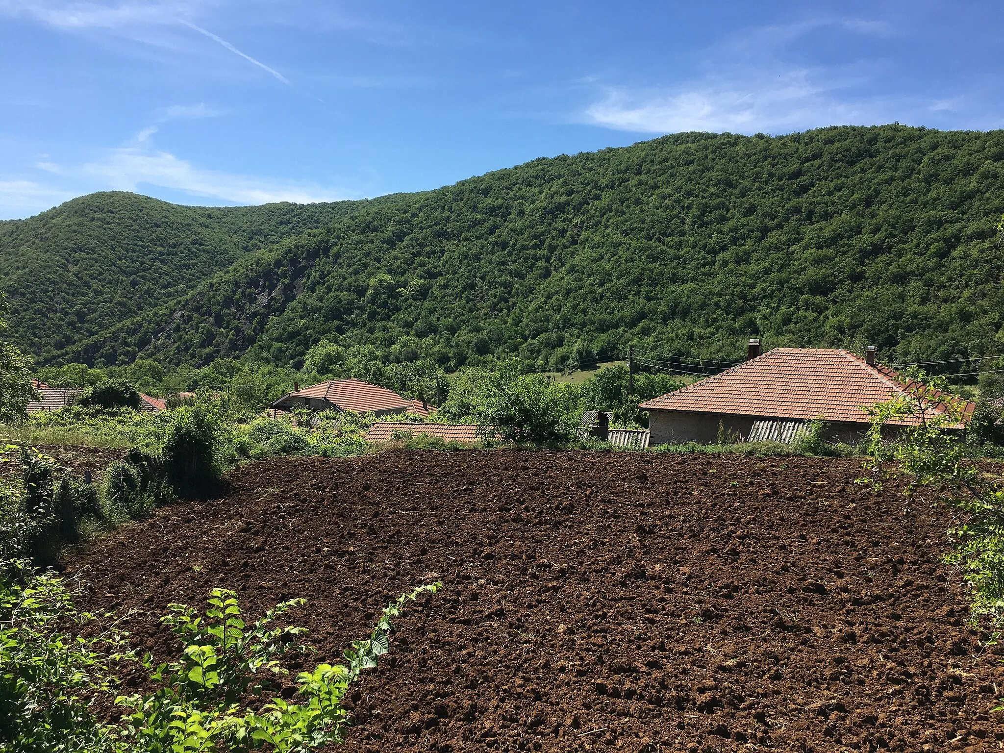 Photo showing: Houses in the village of Petrovo