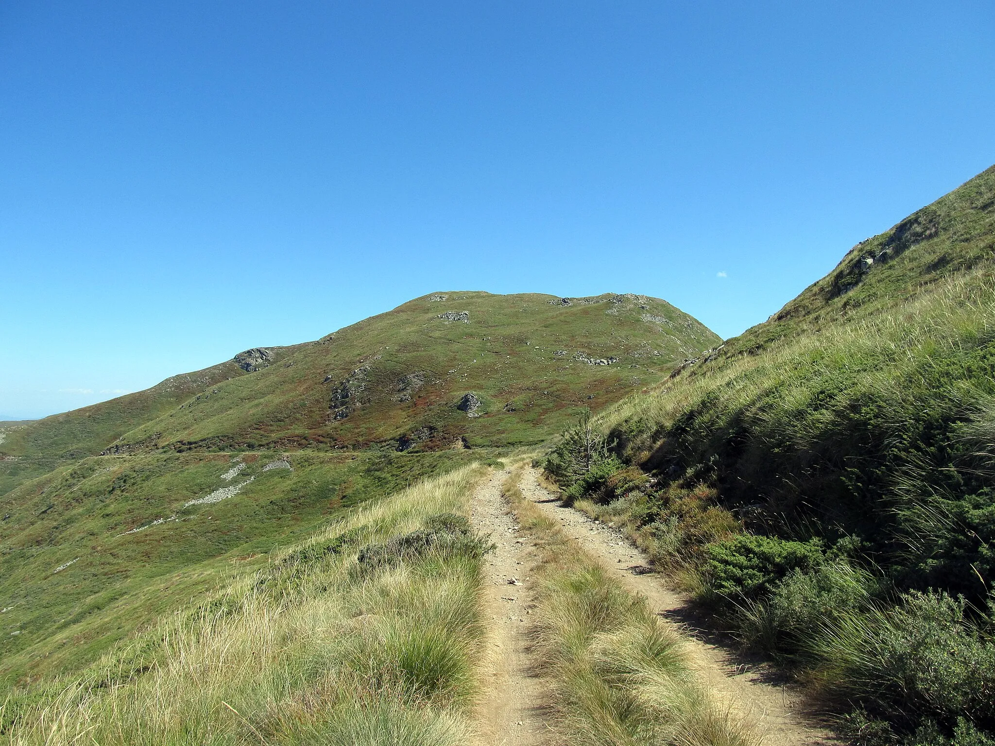 Photo showing: Debelo bardo - a summit in Belasitsa mountain, Bulgaria