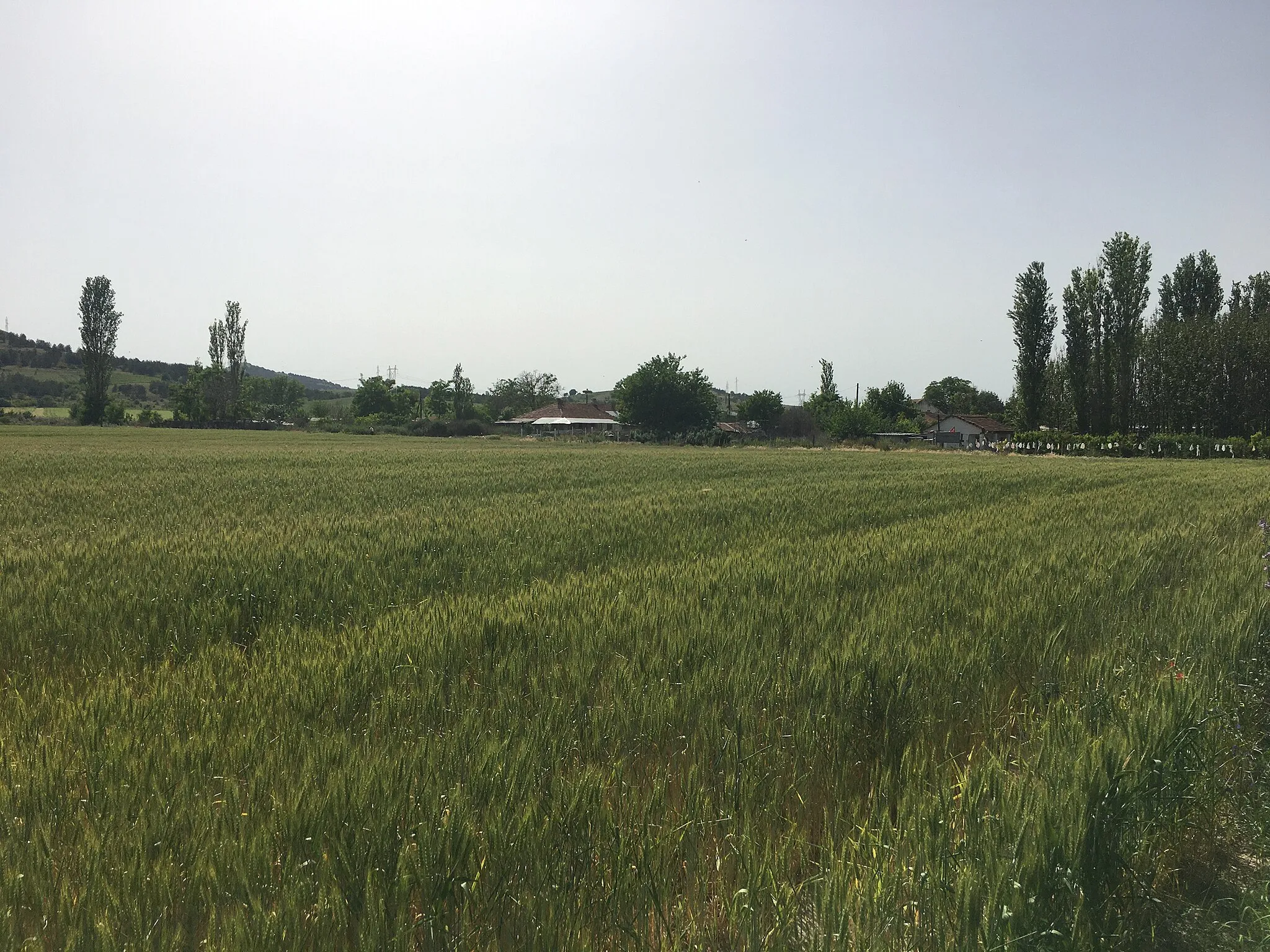 Photo showing: A view of the village of Dubrovo