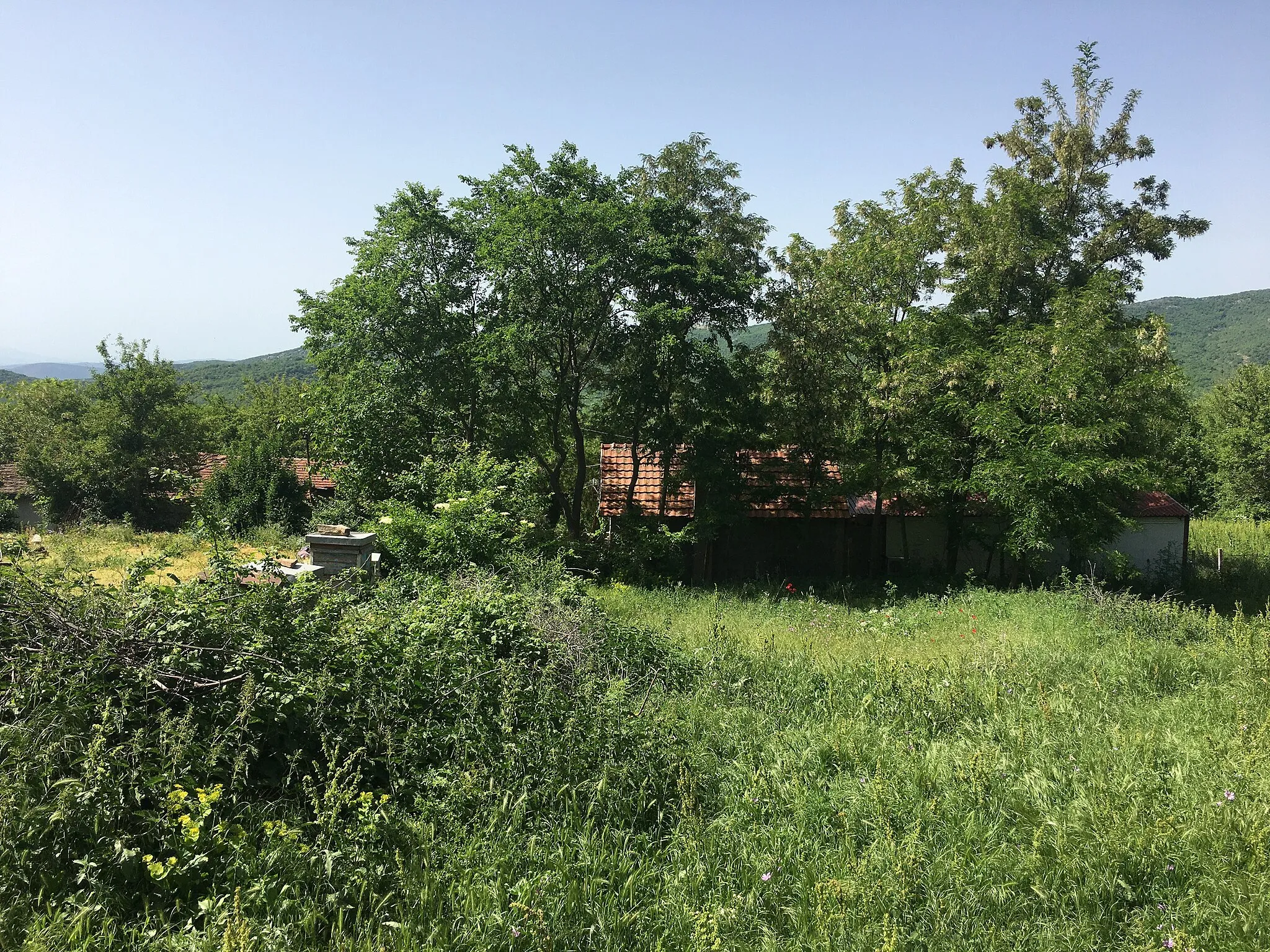 Photo showing: Houses in the village of Kalanjevo
