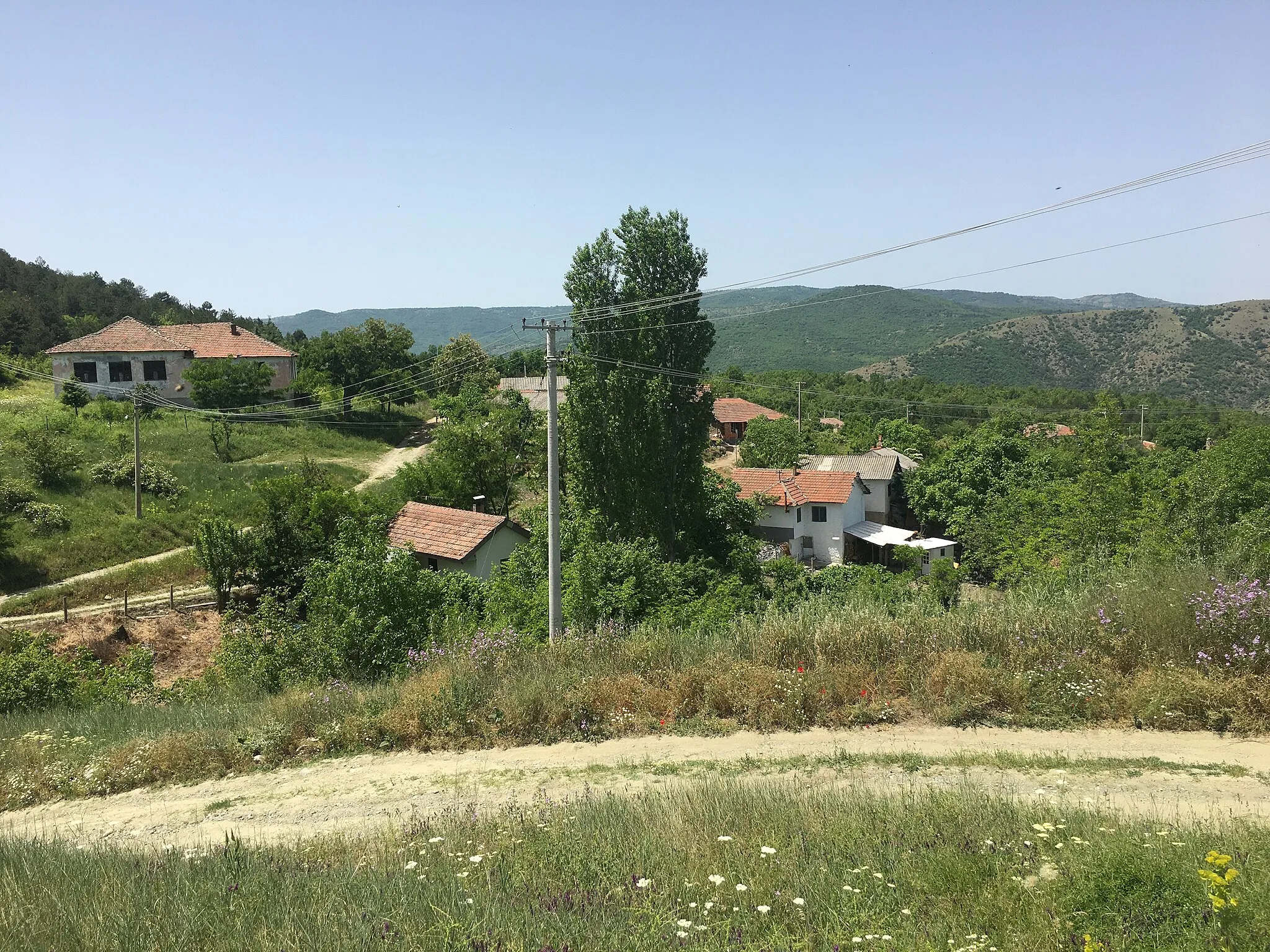 Photo showing: A view of the village of Dračevica