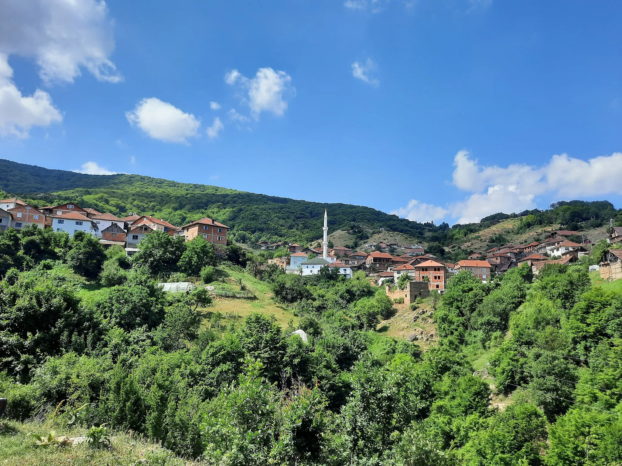 Photo showing: A panorama of the village of Cvetovo, Skopje region, Macedonia.